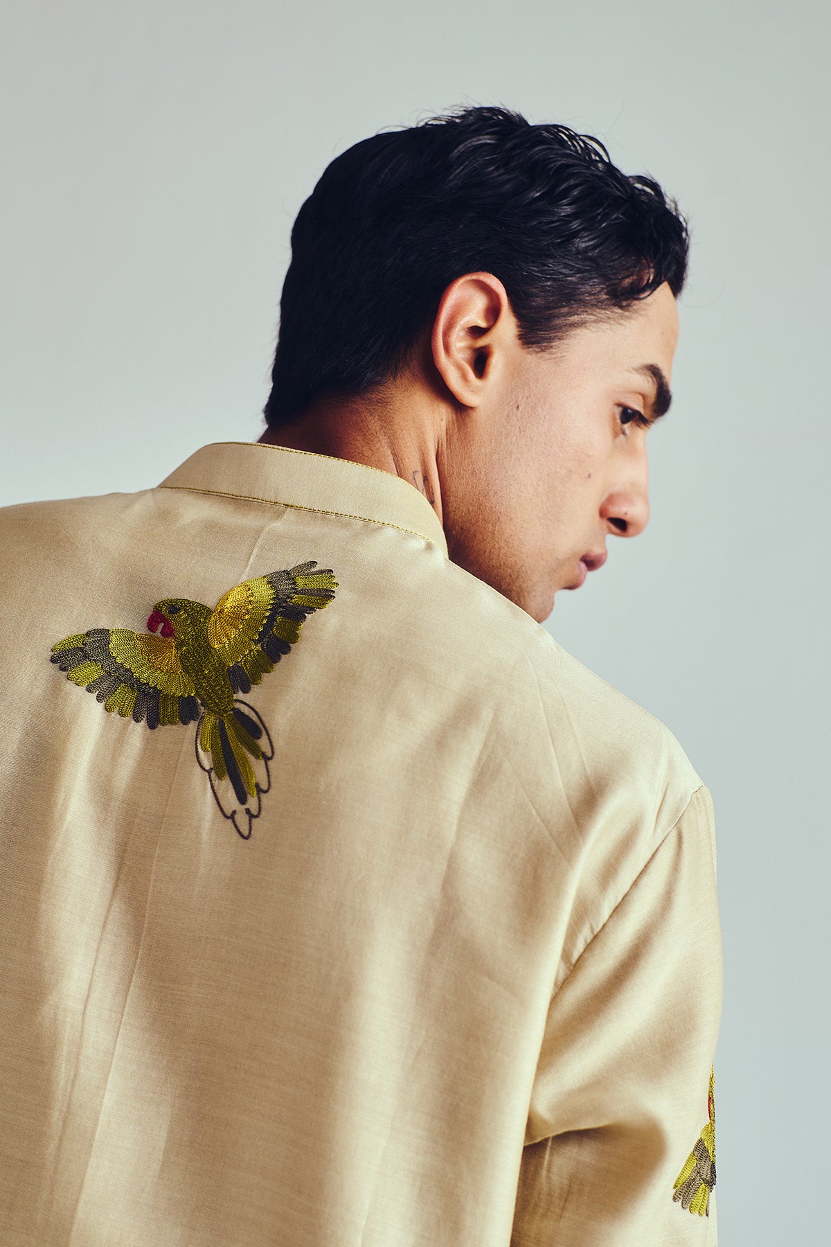 Aari Embroidered Beige Kurta Set