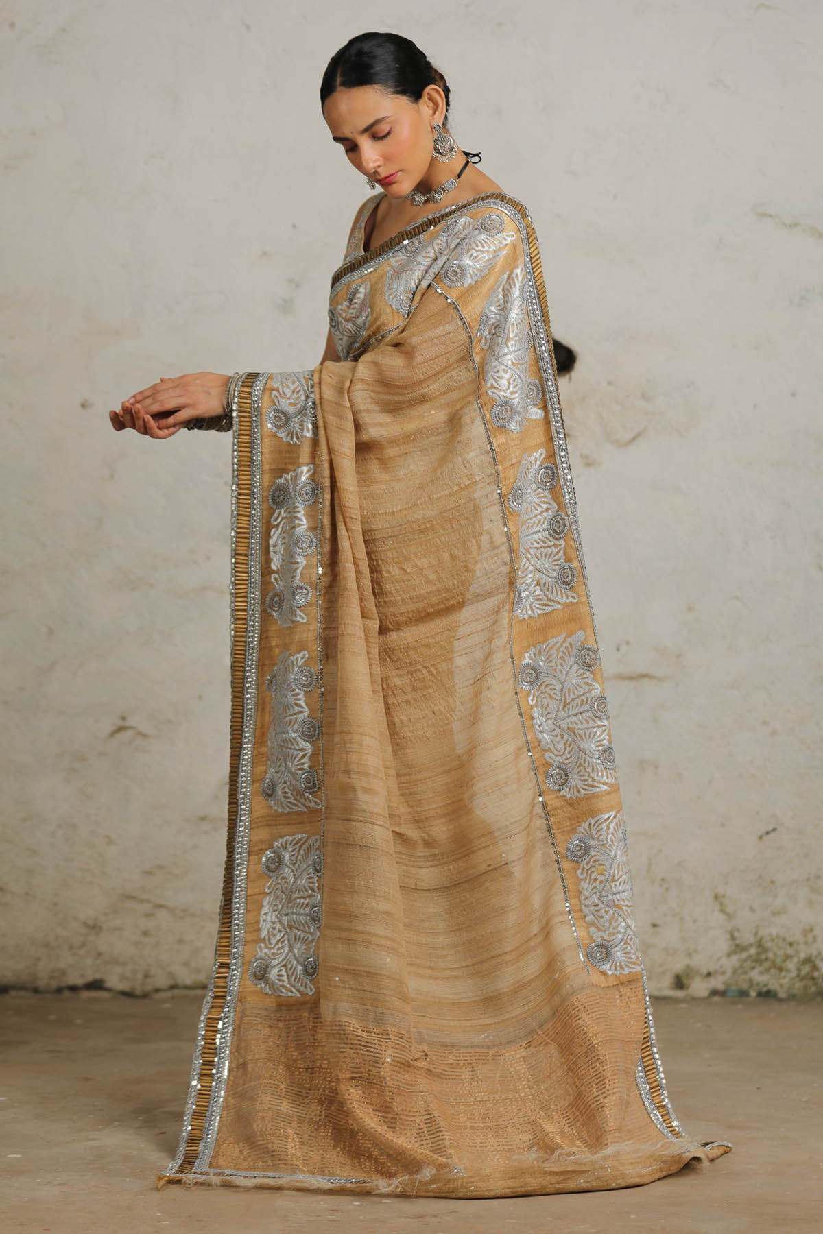 Beige Applique Saree & Blouse