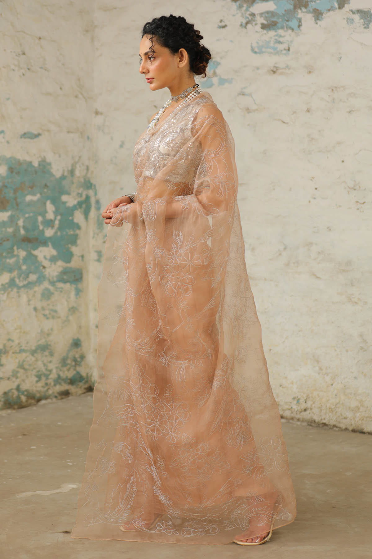 Beige Floral Saree And Blouse