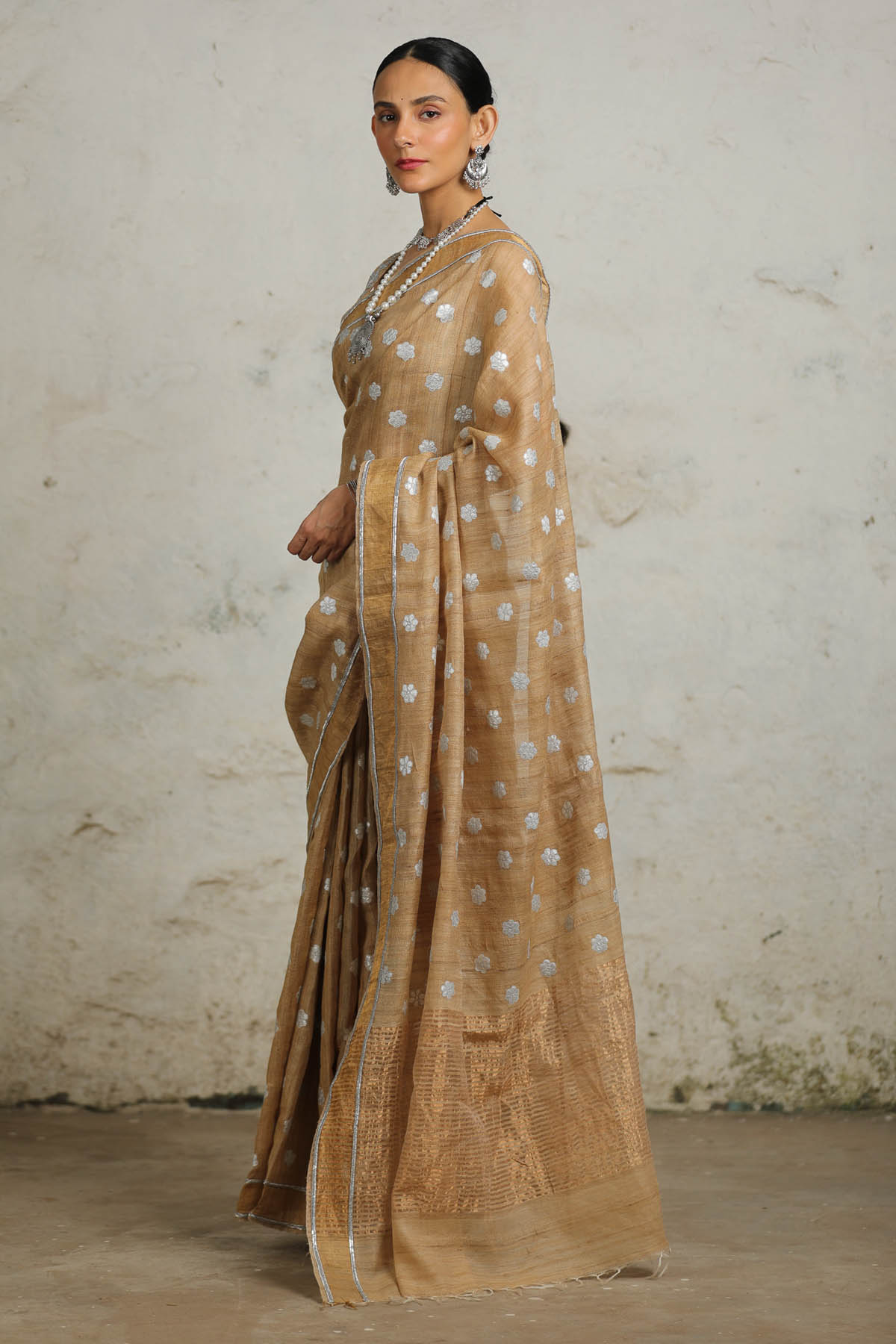 Beige Gold Zari Saree & Blouse