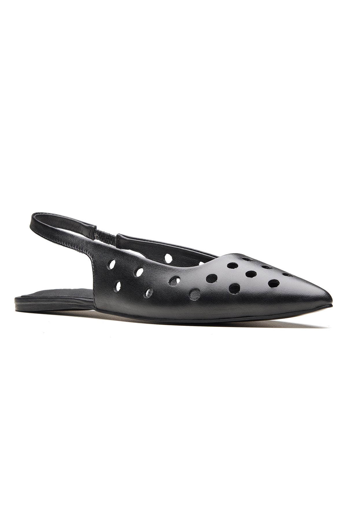 Buy Black Pointed Toe Ballerinas by Dang Shoes for Women online at ScrollnShops