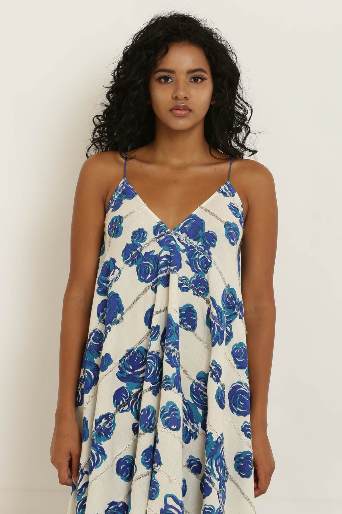 Blue Rose Printed Cotton Dress