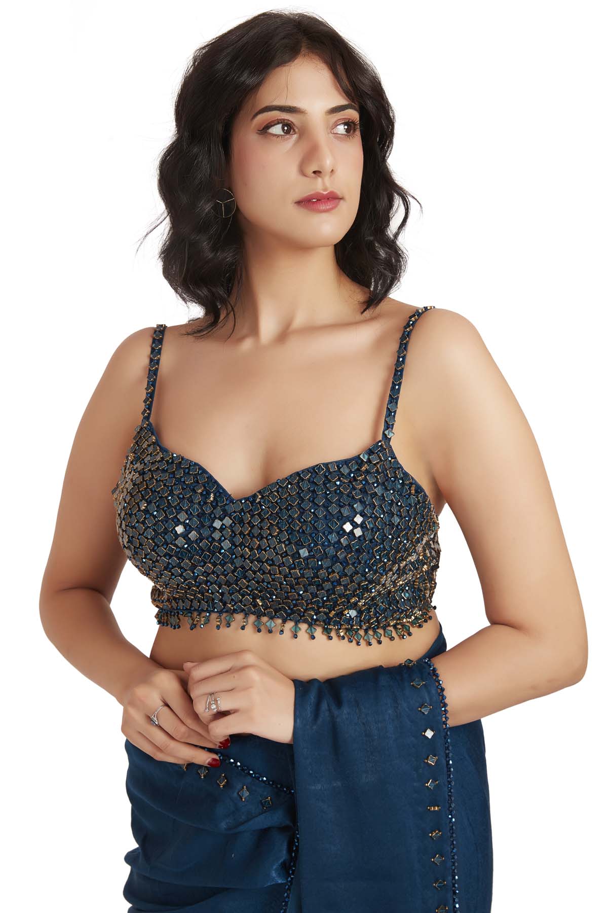 Blue Crystal Embroidered Saree