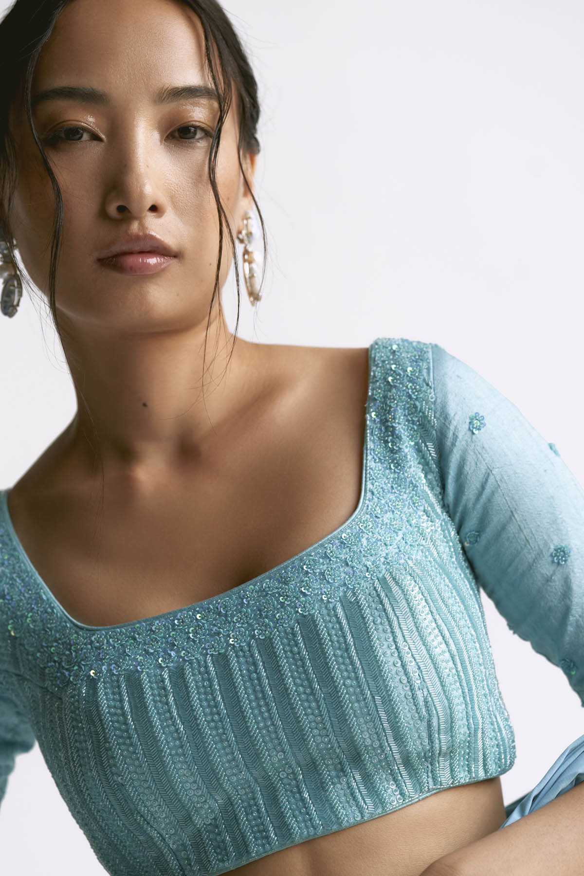 Blue Saree & Embroidered Blouse