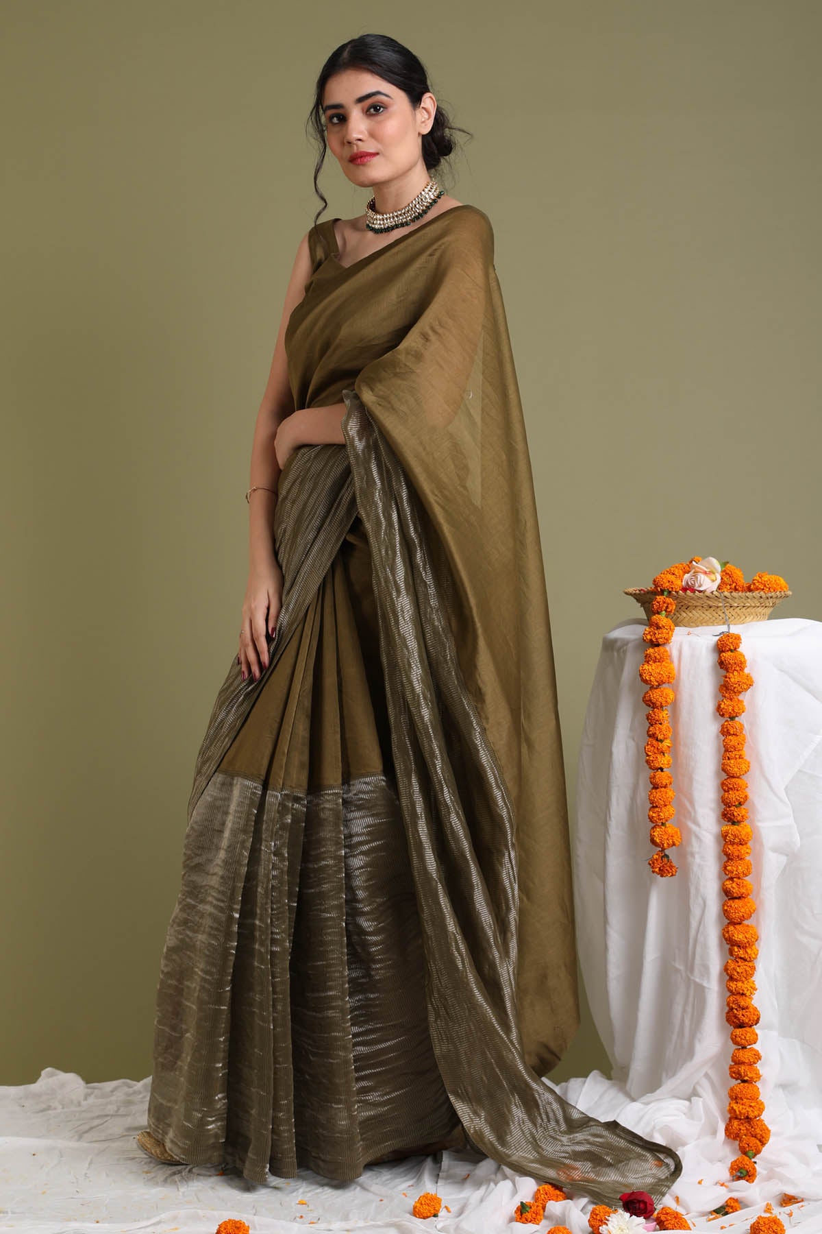 Brown Silver Saree & Blouse