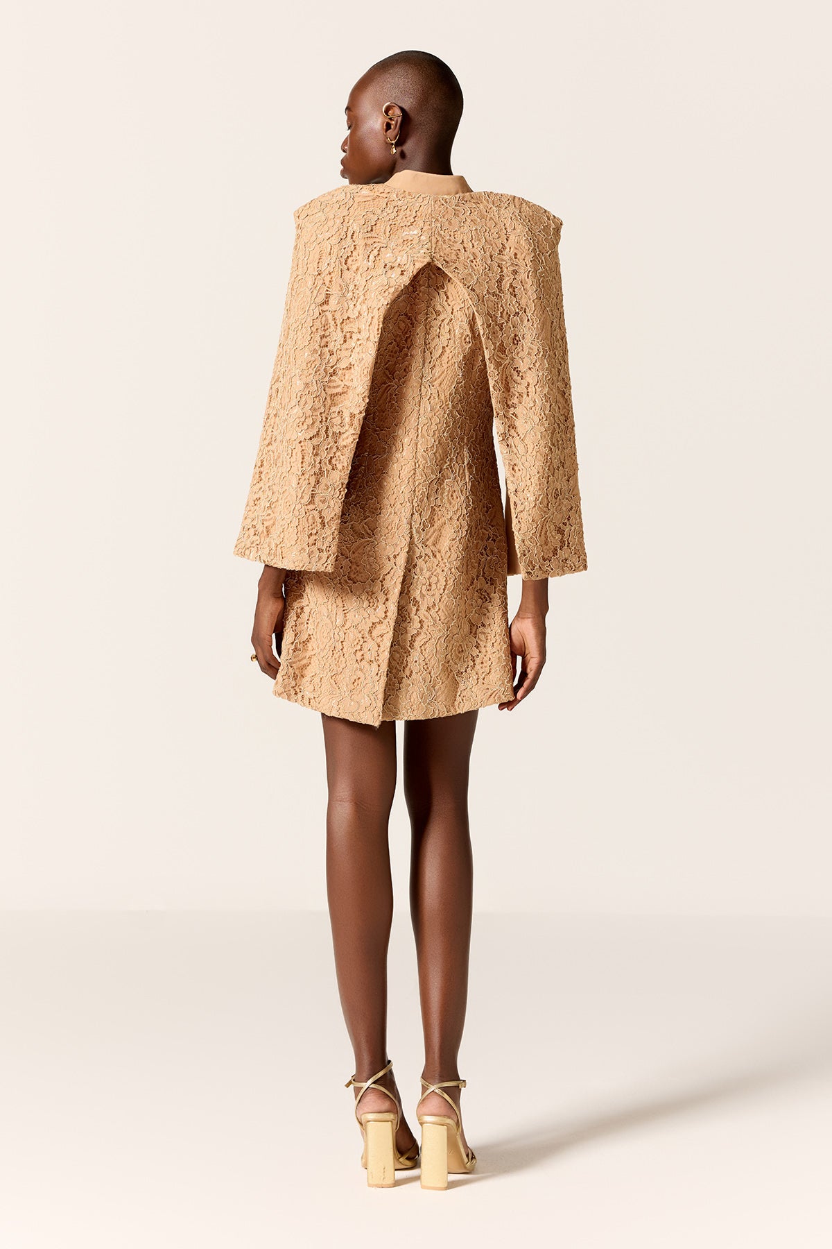 Brown Chantilly Lace Mini Dress