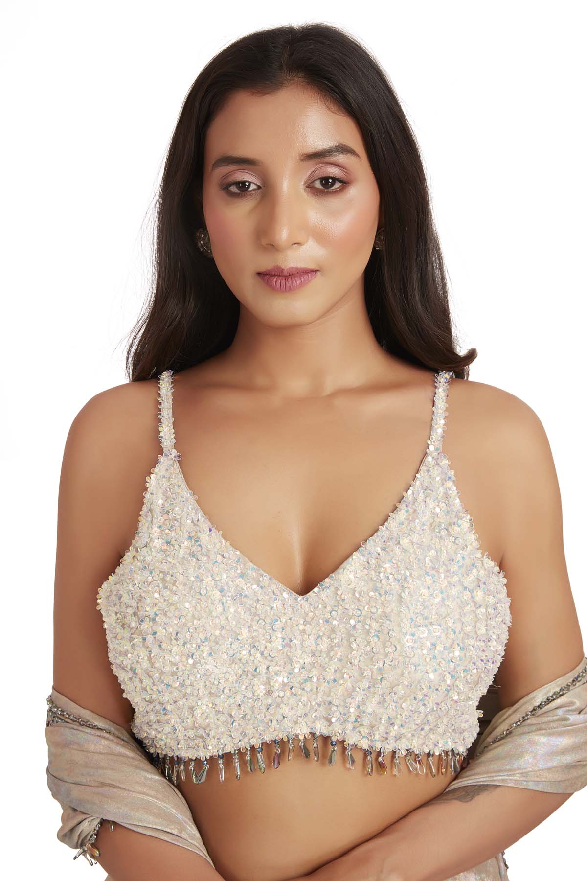 Brown Crystal Embroidered Saree