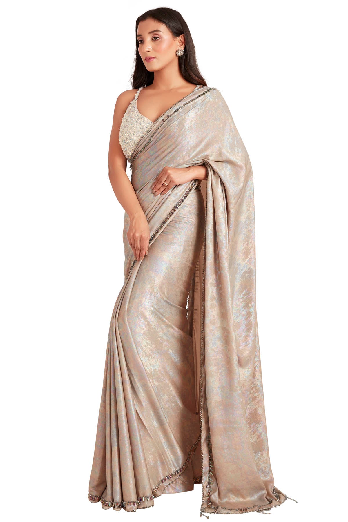 Brown Crystal Embroidered Saree