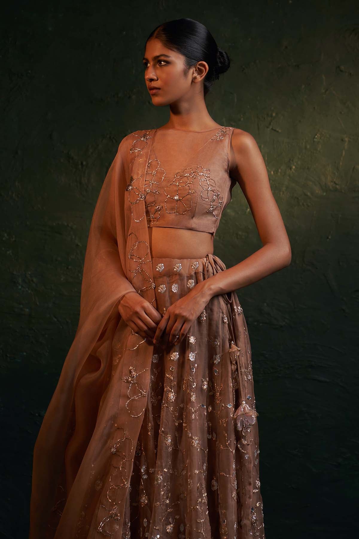 Brown Organza Nakshi Lehenga Set