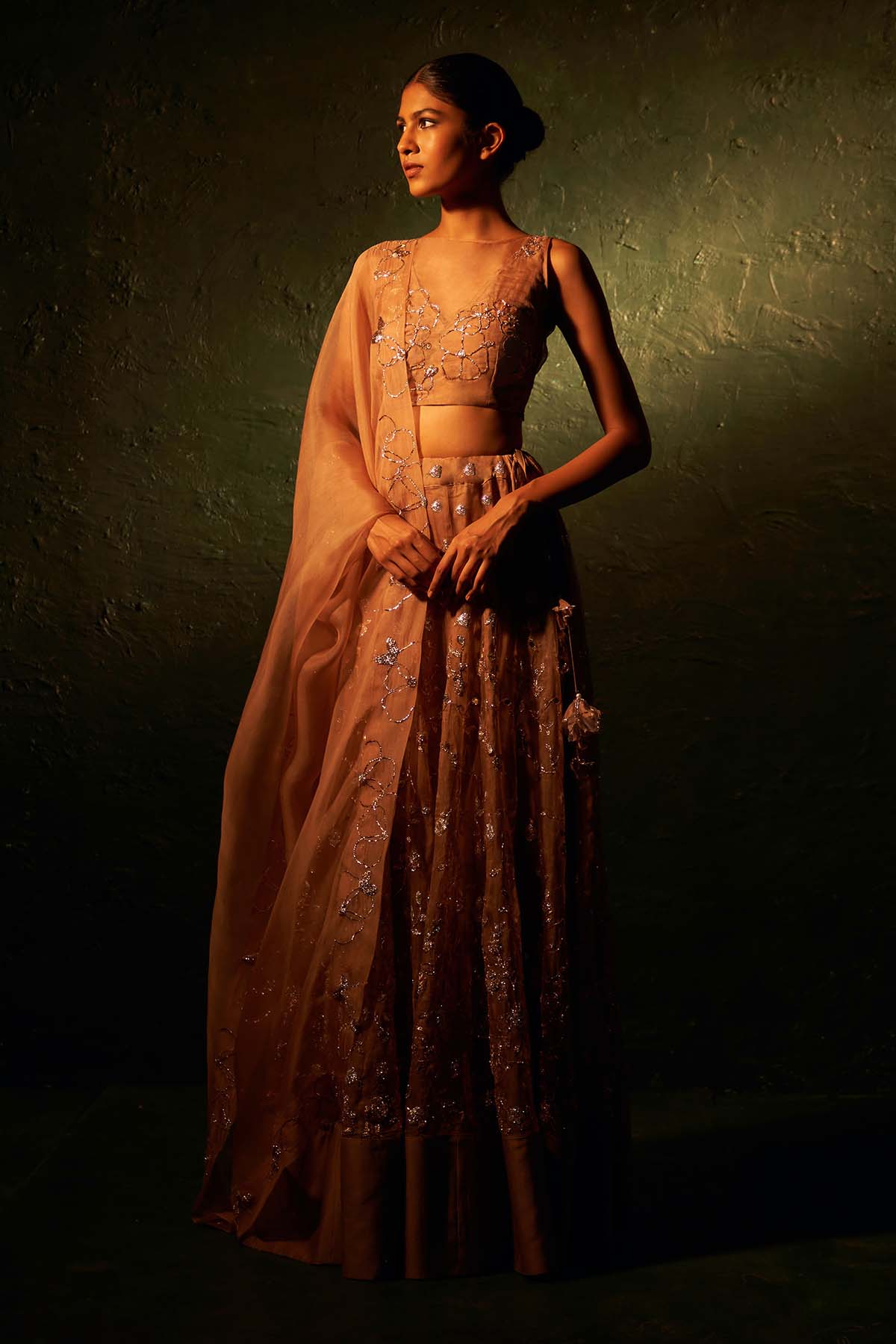 Brown Organza Nakshi Lehenga Set