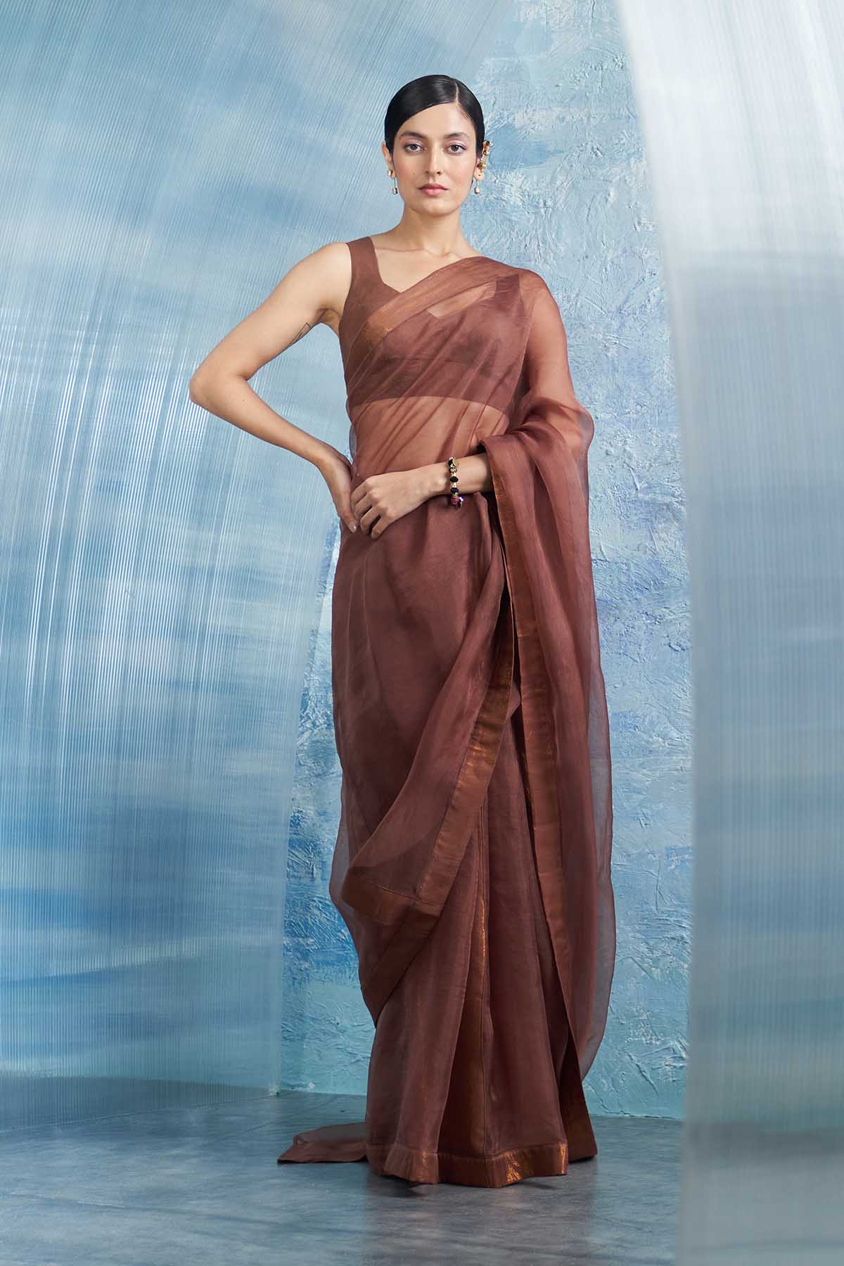 Brown Saree & Sleeveless Blouse