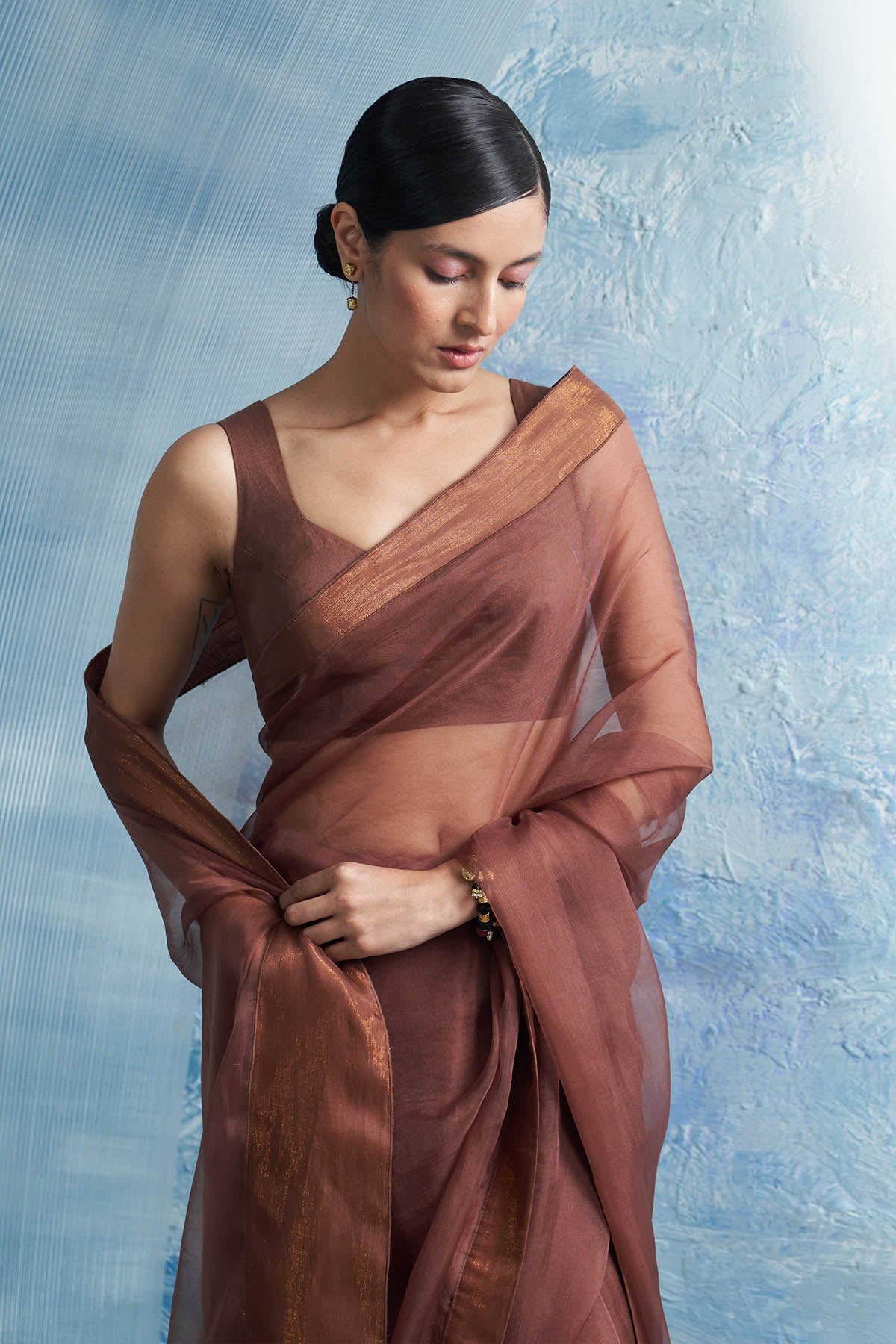 Brown Saree & Sleeveless Blouse