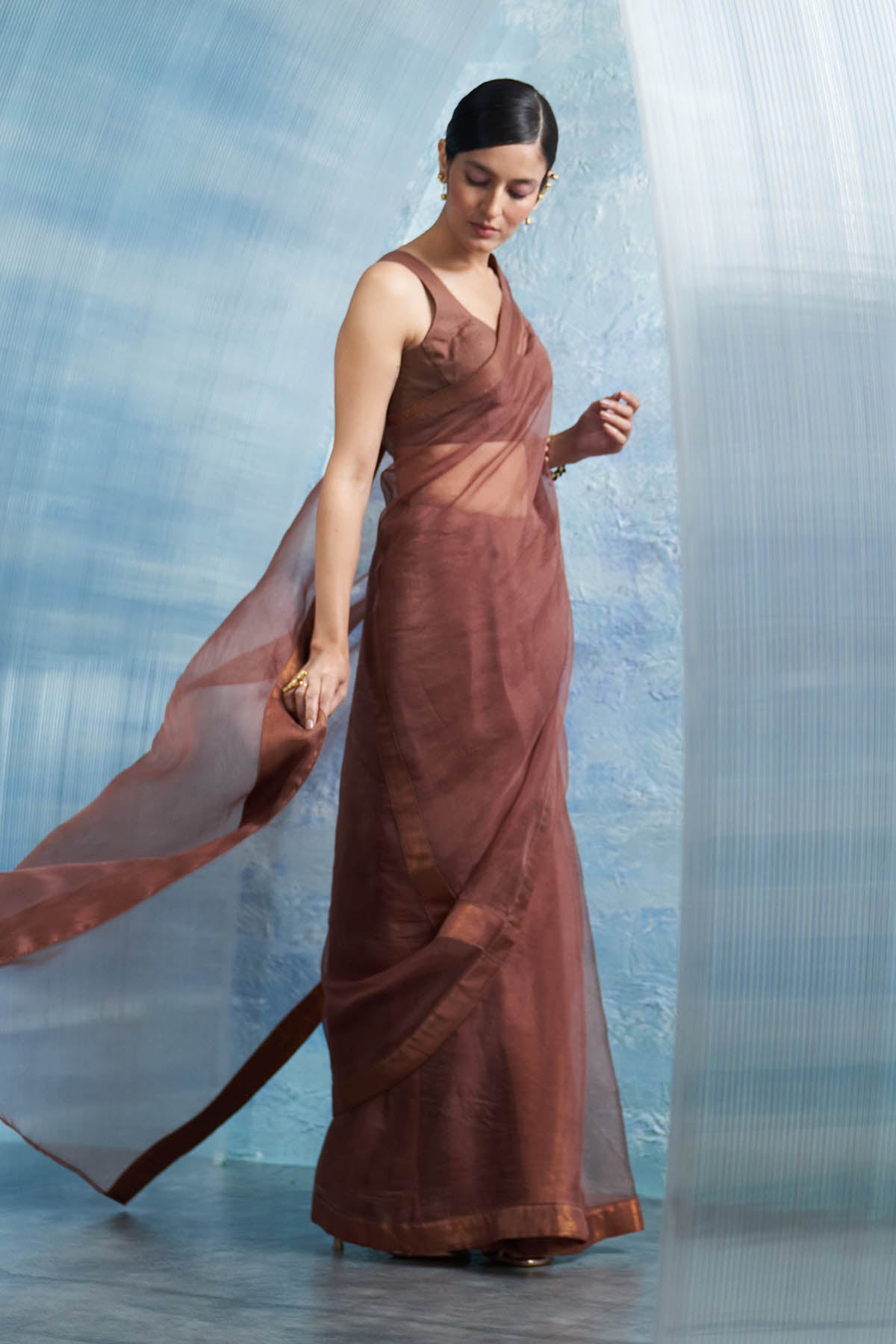 Brown Saree & Sleeveless Blouse