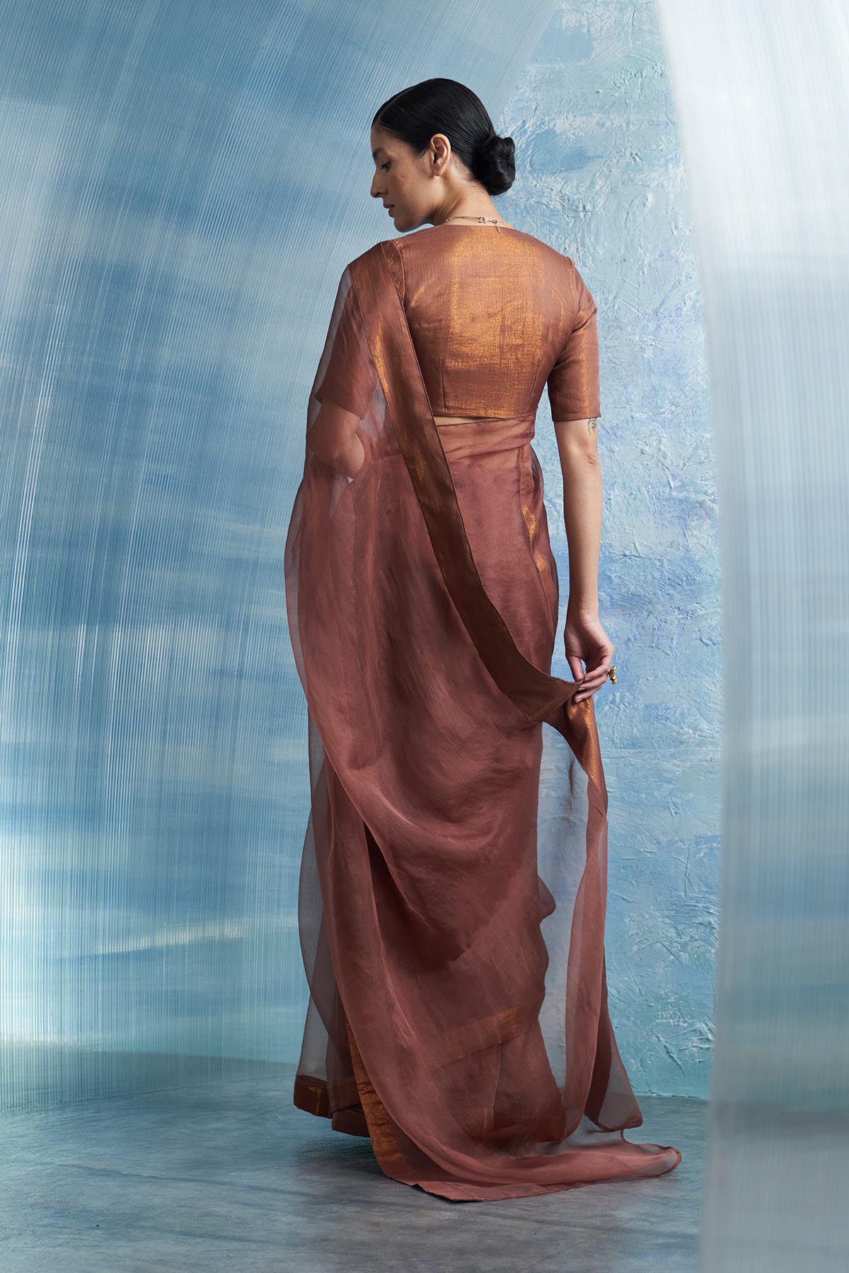 Brown Saree & V-Neck Blouse