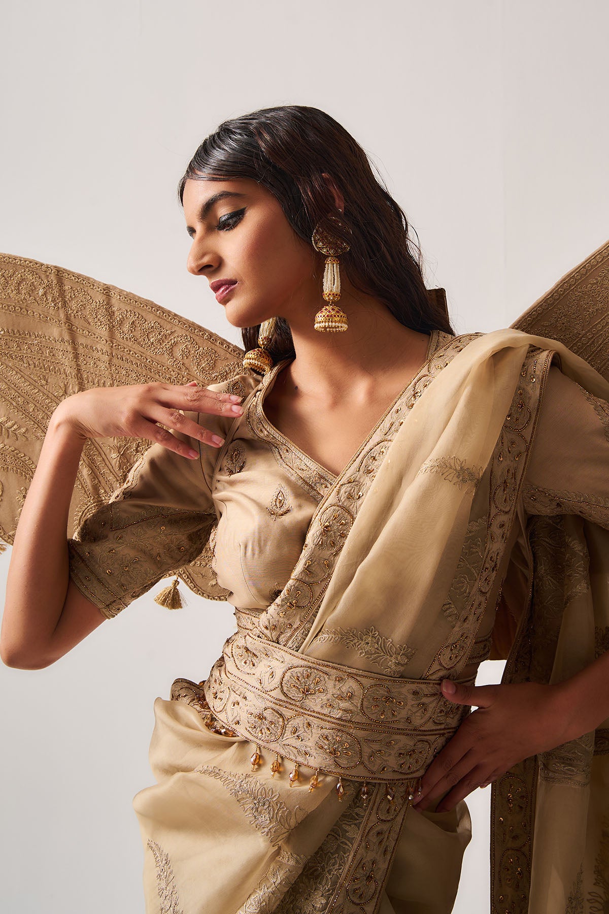 Dark Beige Organza Saree Set