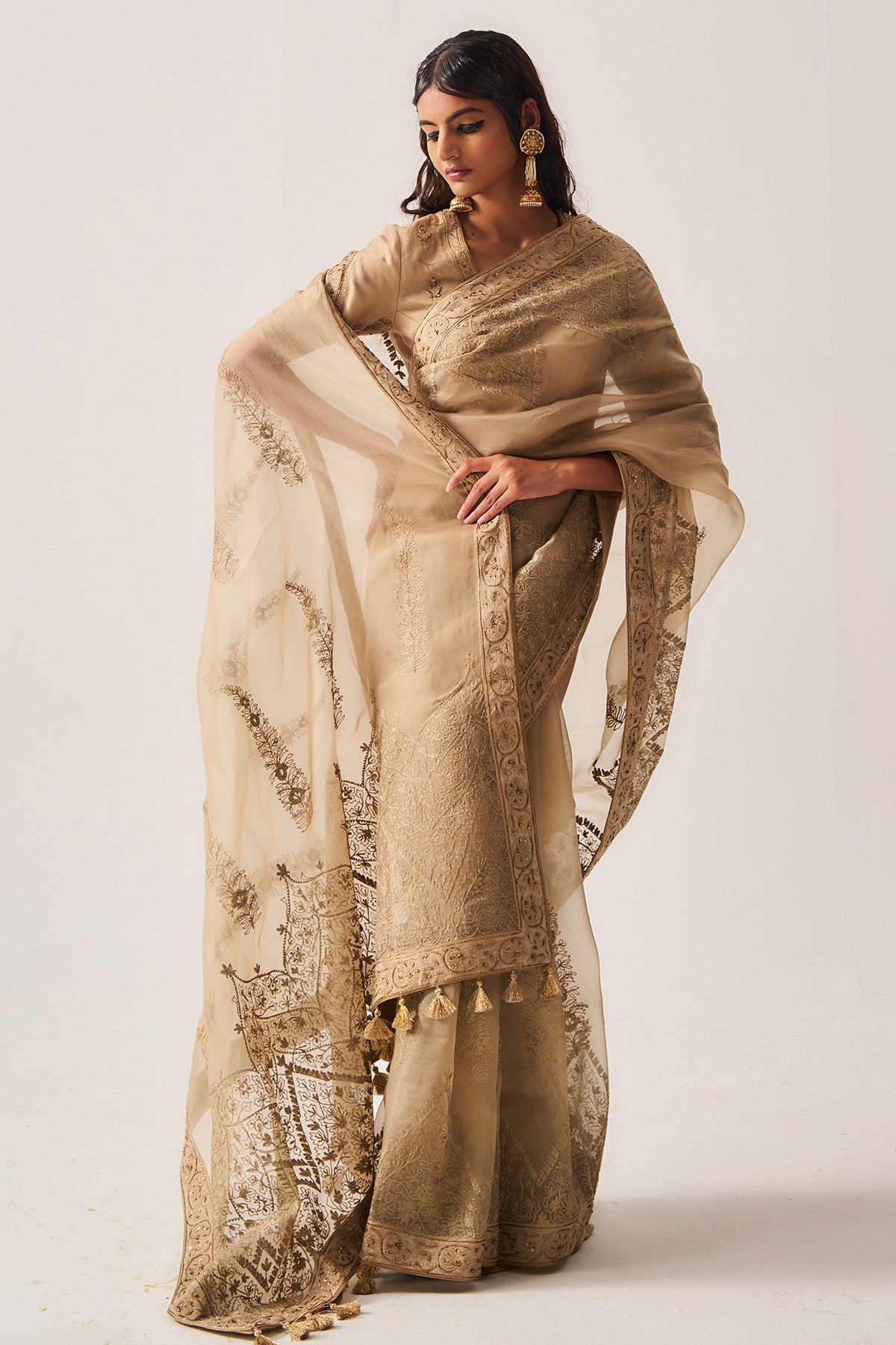 Dark Beige Organza Saree Set