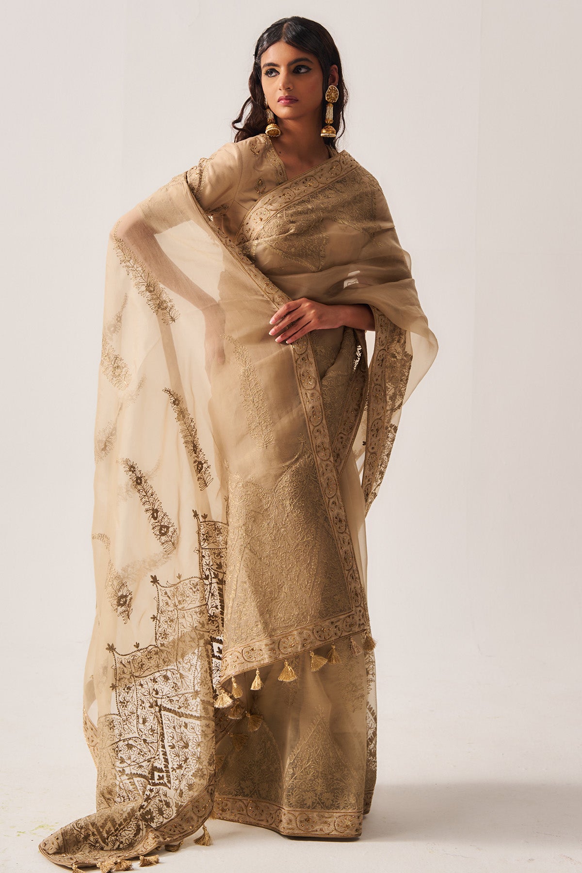 Dark Beige Organza Saree Set