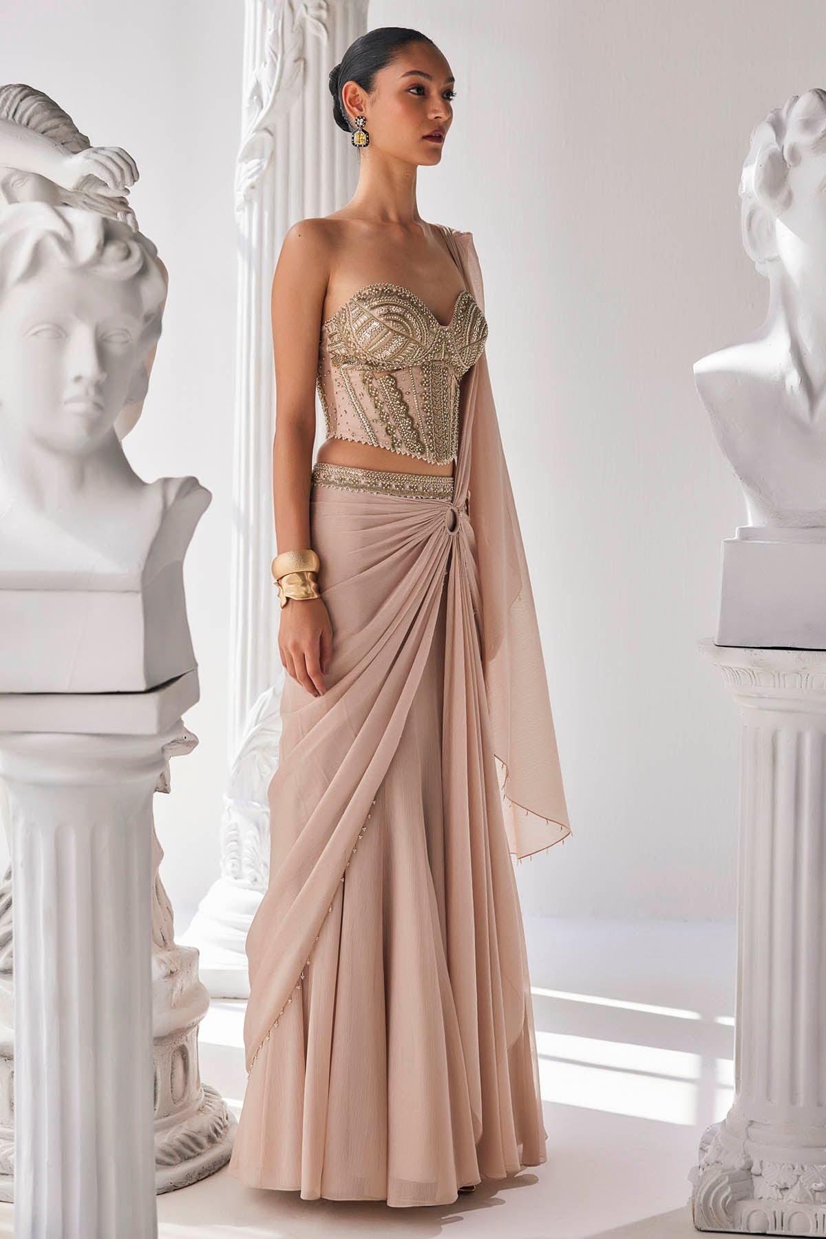 Draped Shimmer Chiffon Saree