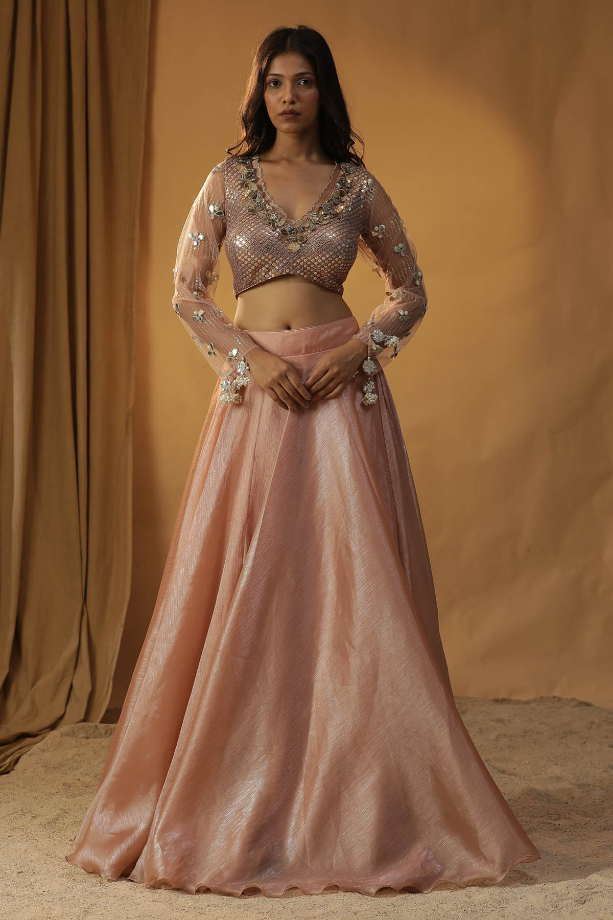 Embroidered Organza Lehenga Set