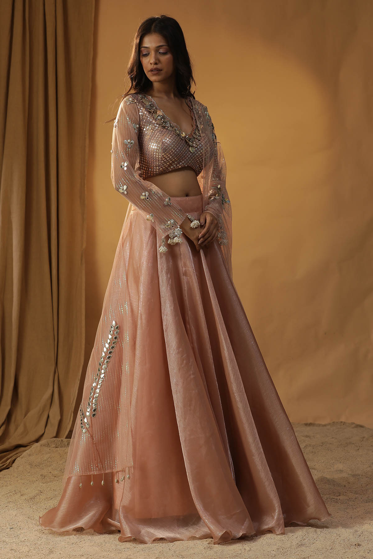 Embroidered Organza Lehenga Set