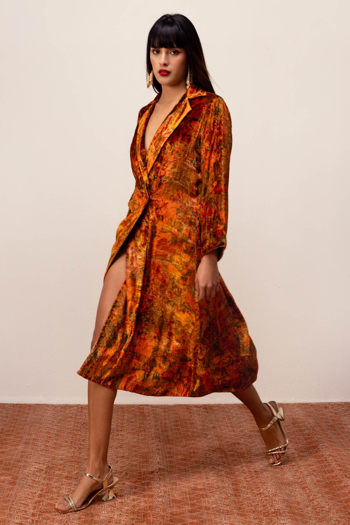 Floral Print Velvet Robe Dress