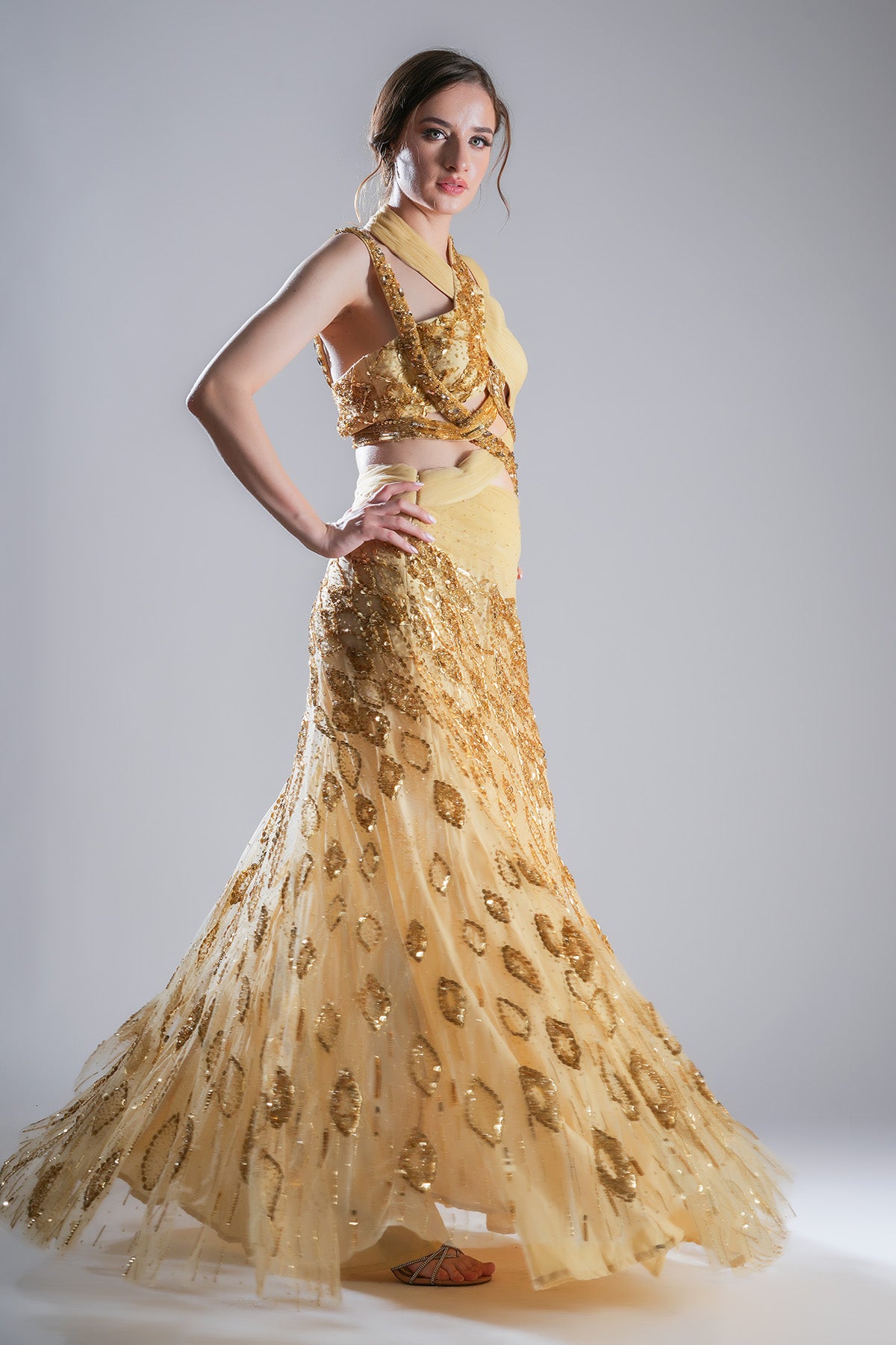 Gold Embellished Pleated Gown