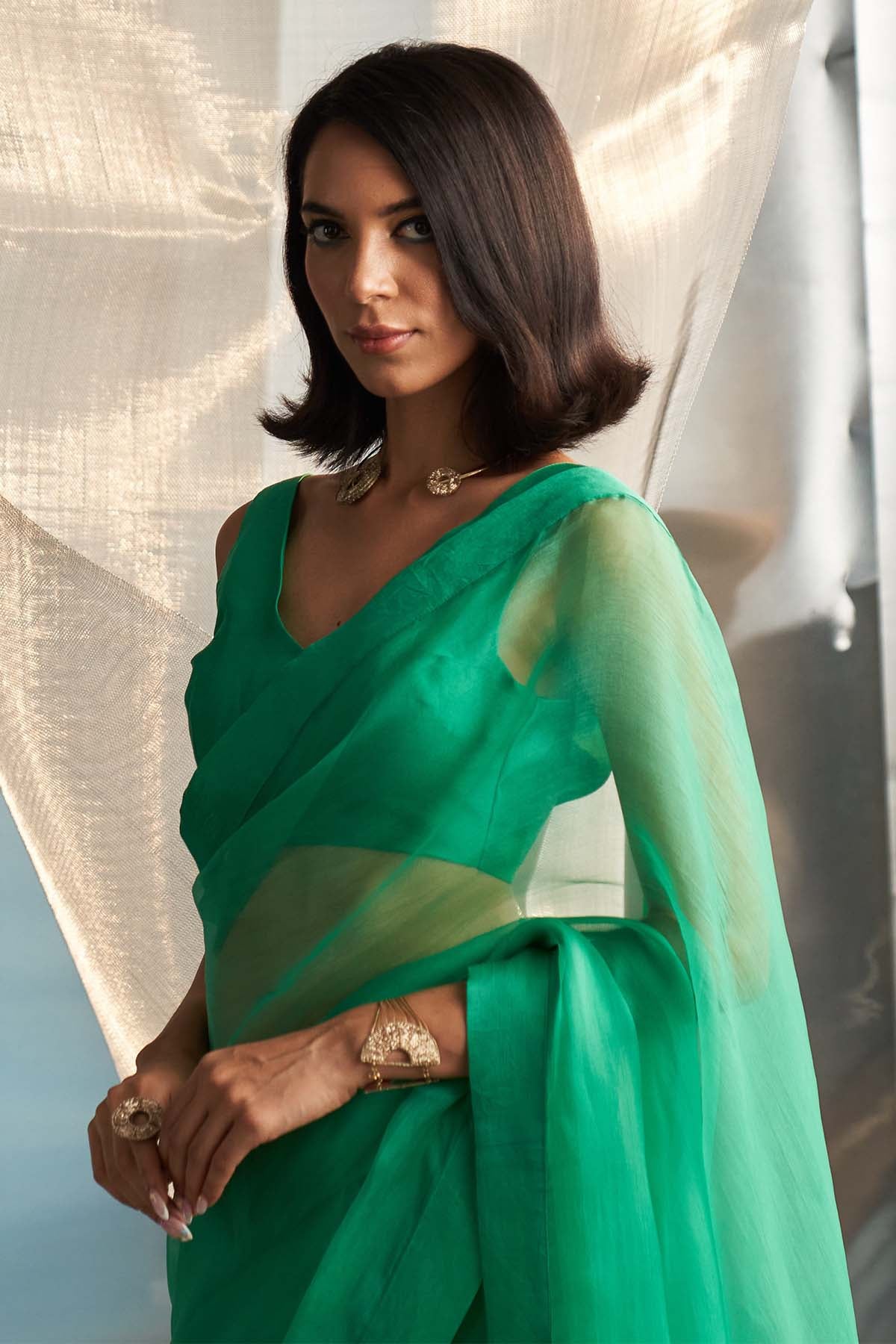 Green Saree & Sleeveless Blouse