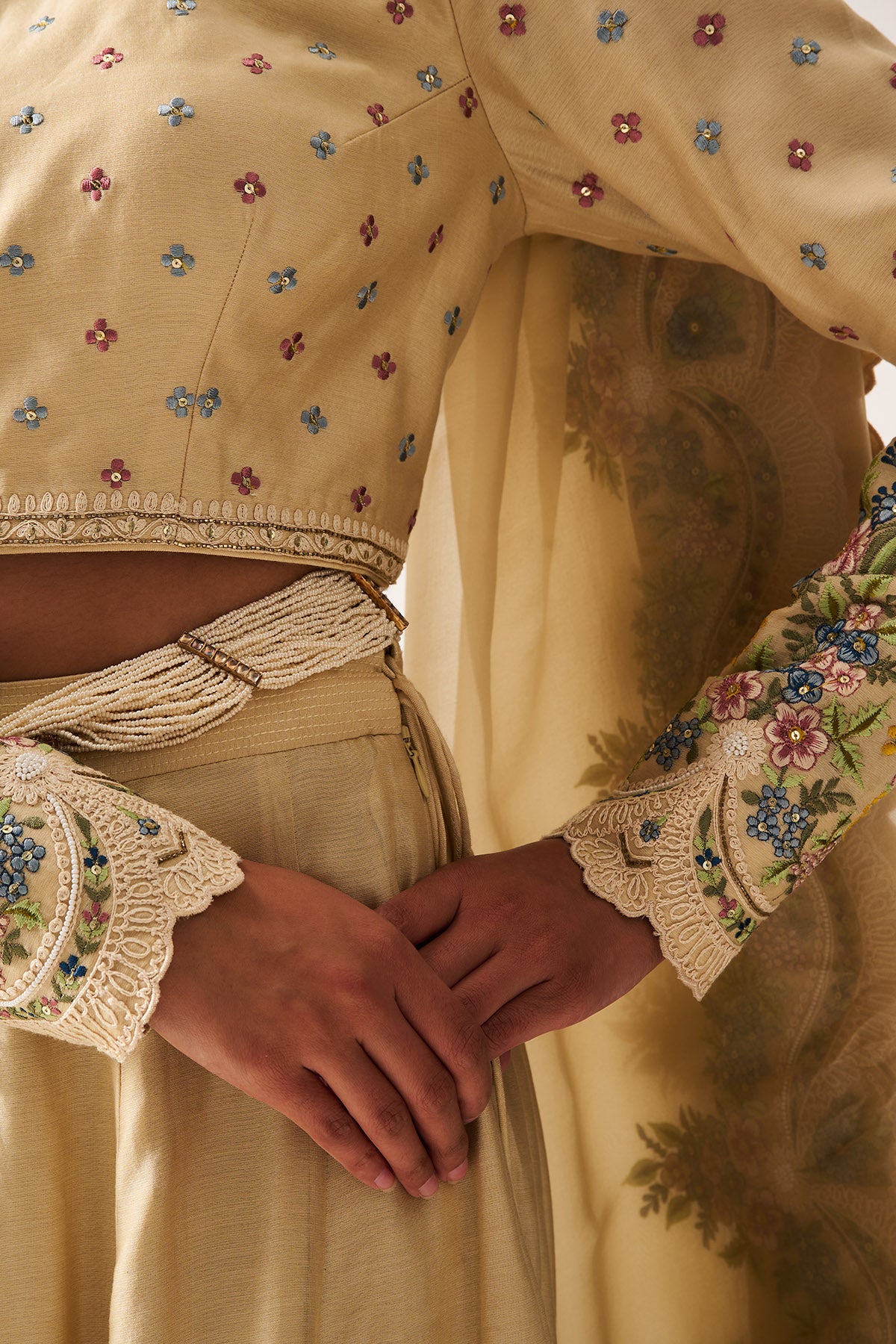 Light Beige Silk Lehenga Set