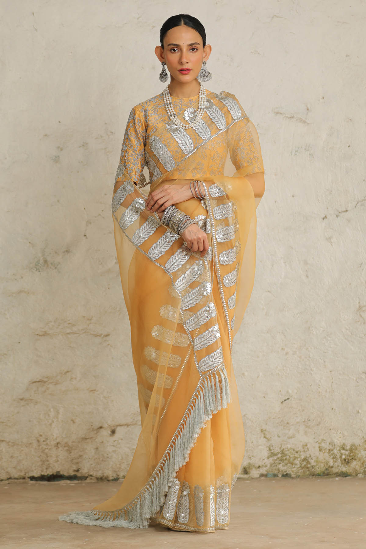 Ochre Silver Applique Saree Set