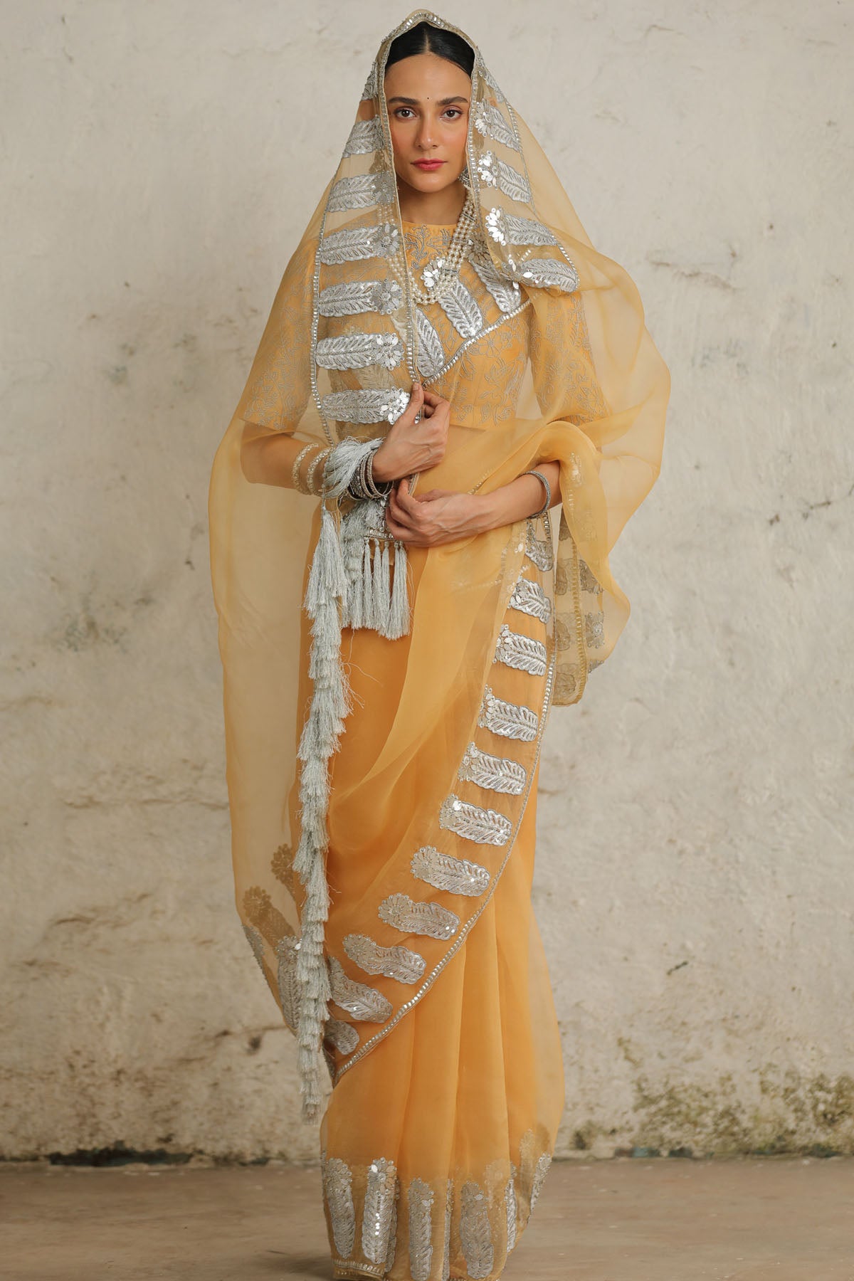Ochre Silver Applique Saree Set