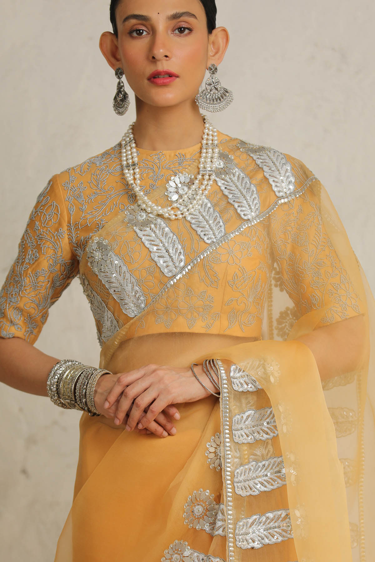 Ochre Silver Applique Saree Set