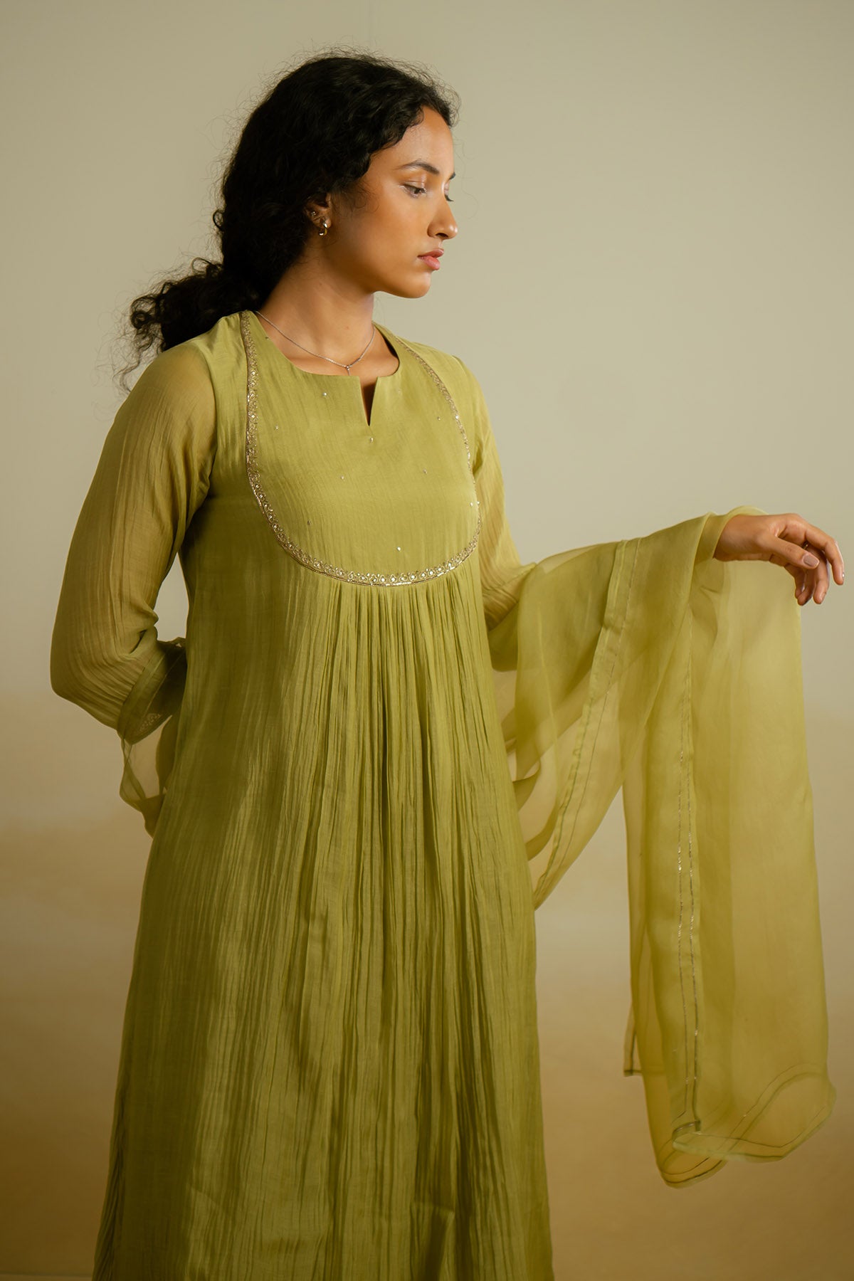 Olive Zari Embroidered Kurta Set