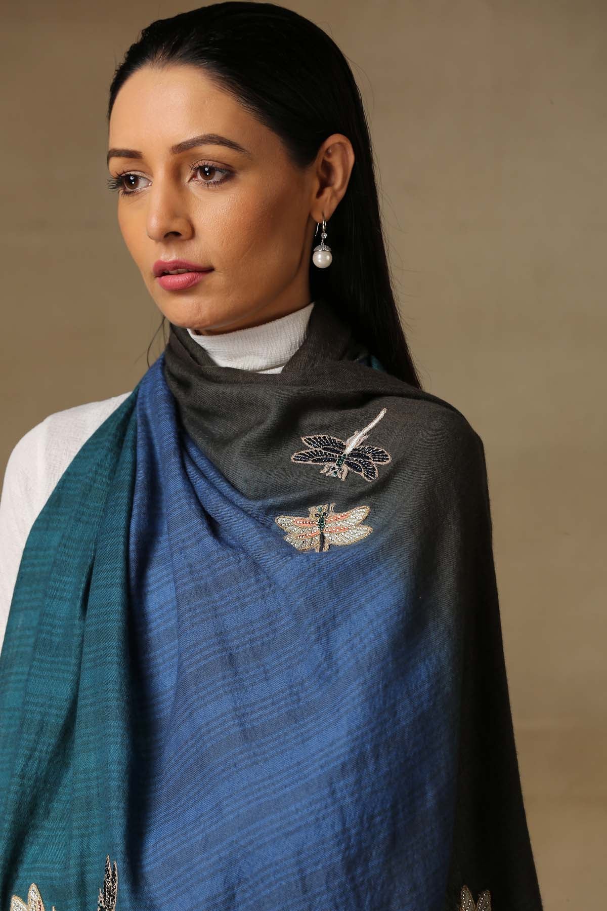 Ombre Embroidered Pashmina Stole