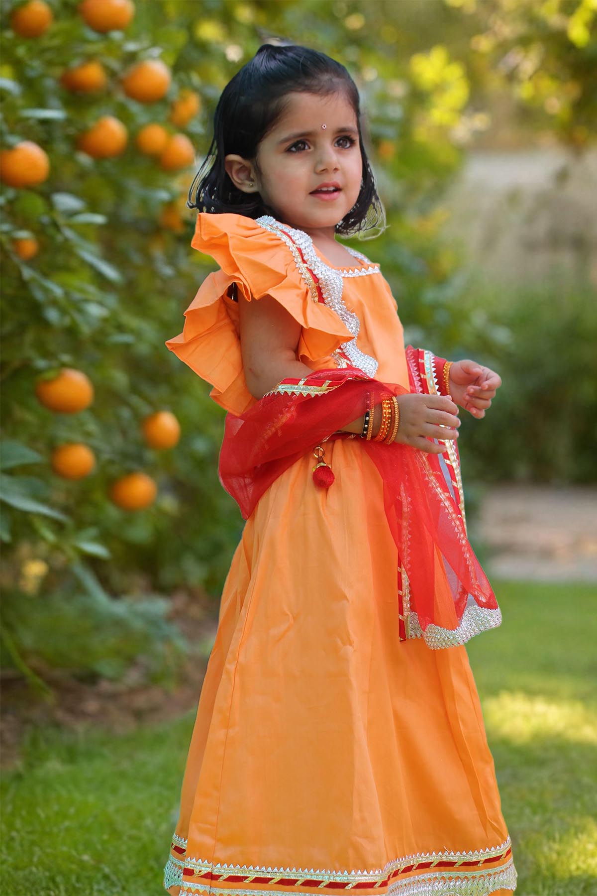 Orange Embellished Lehenga Set