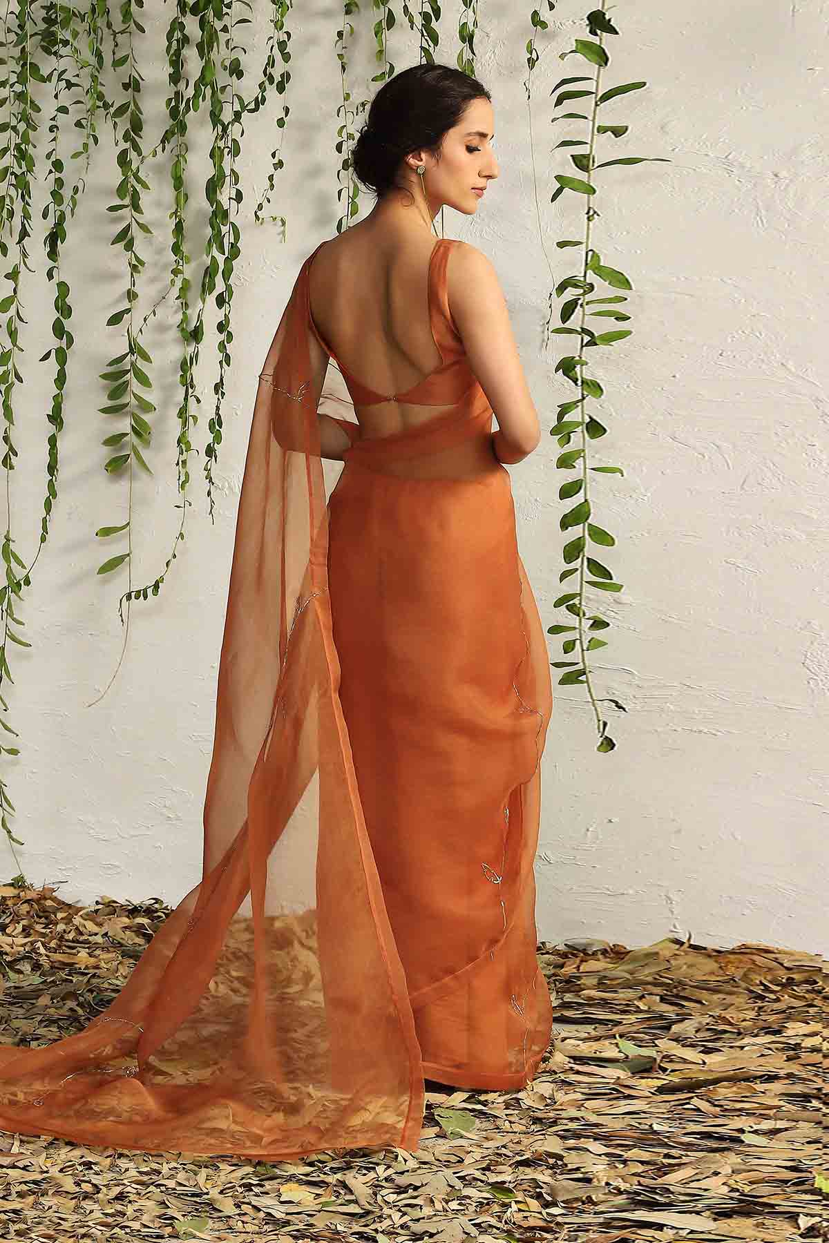 Orange Nakshi Saree & Blouse