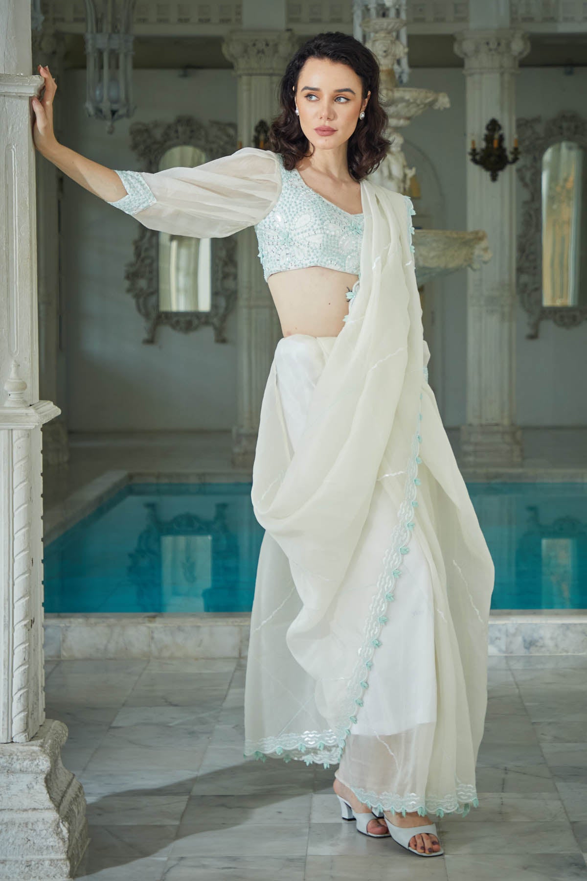 Organza Embroidered Saree Set