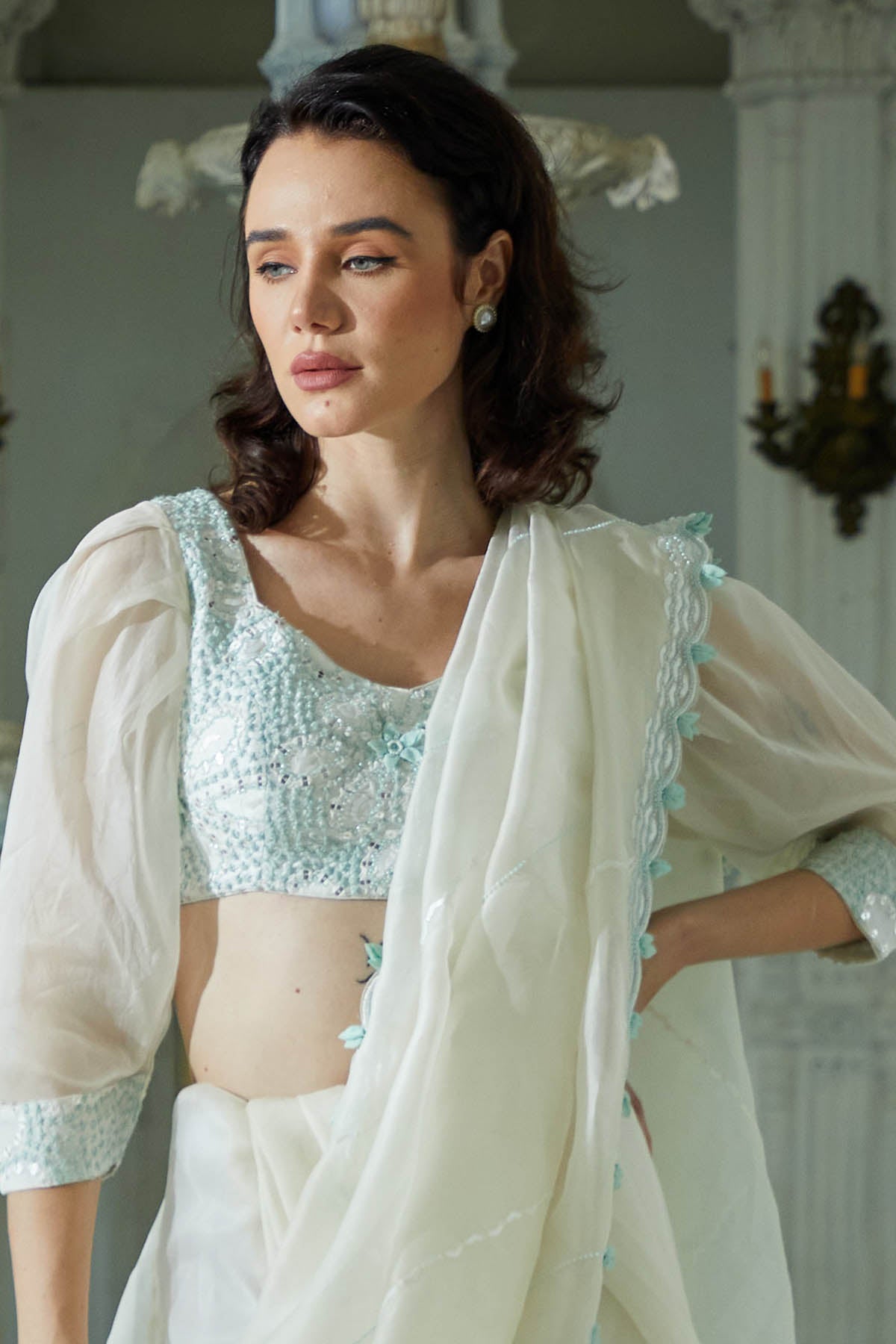 Organza Embroidered Saree Set