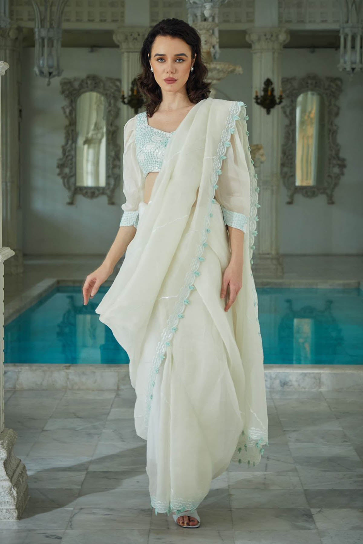 Organza Embroidered Saree Set