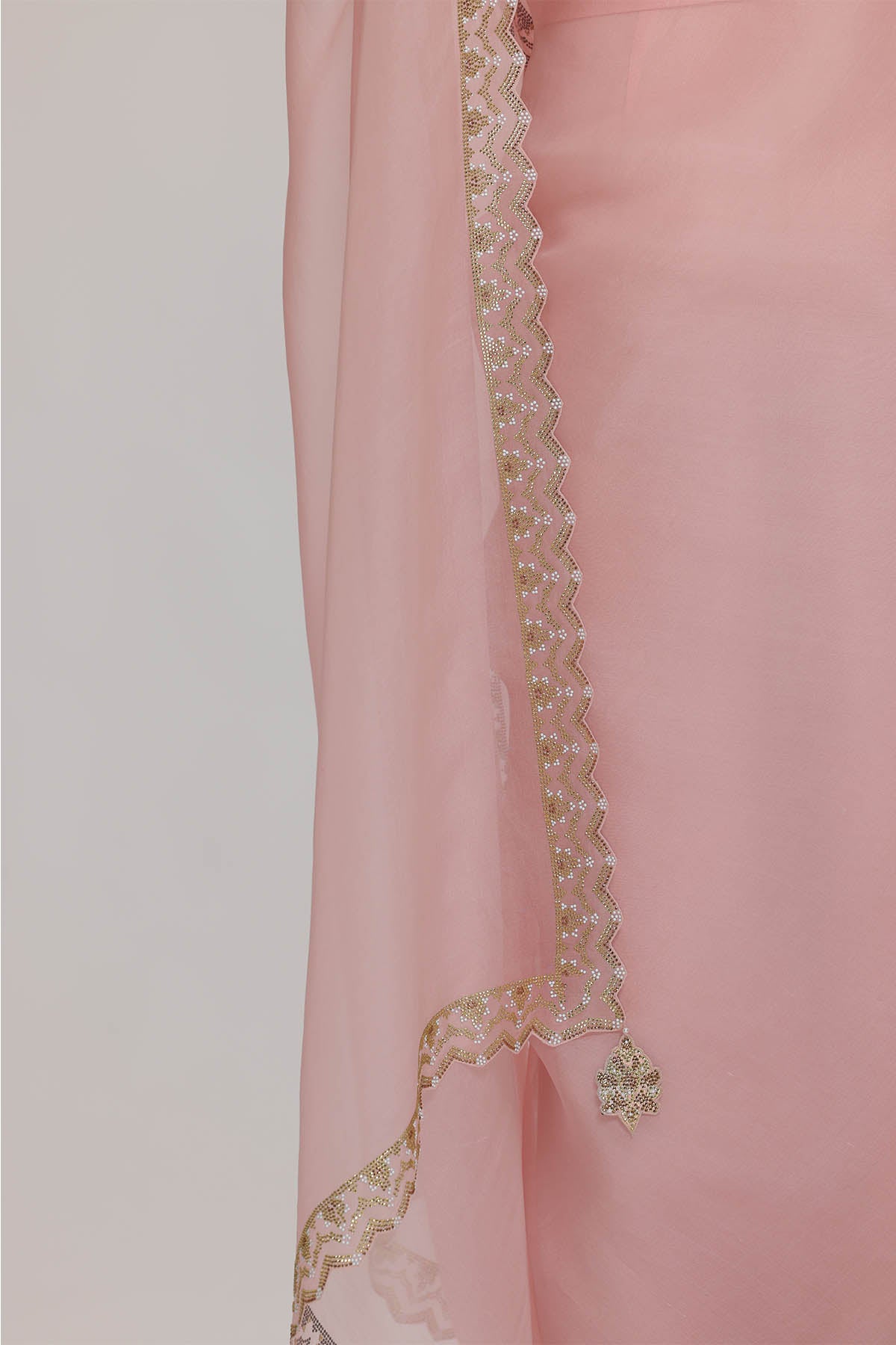 Pink Stones Embellished Saree