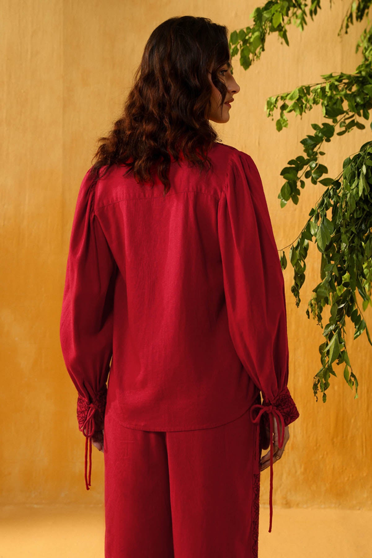 Red V-Neck Embroidered Top