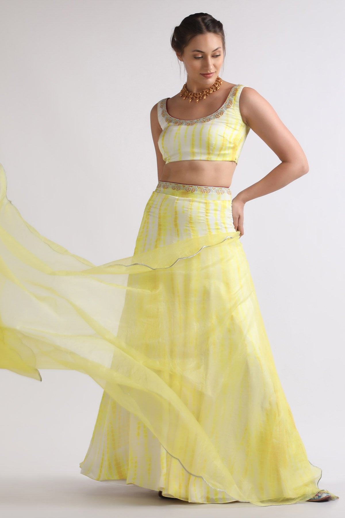 Resham & Zari Crepe Lehenga Set