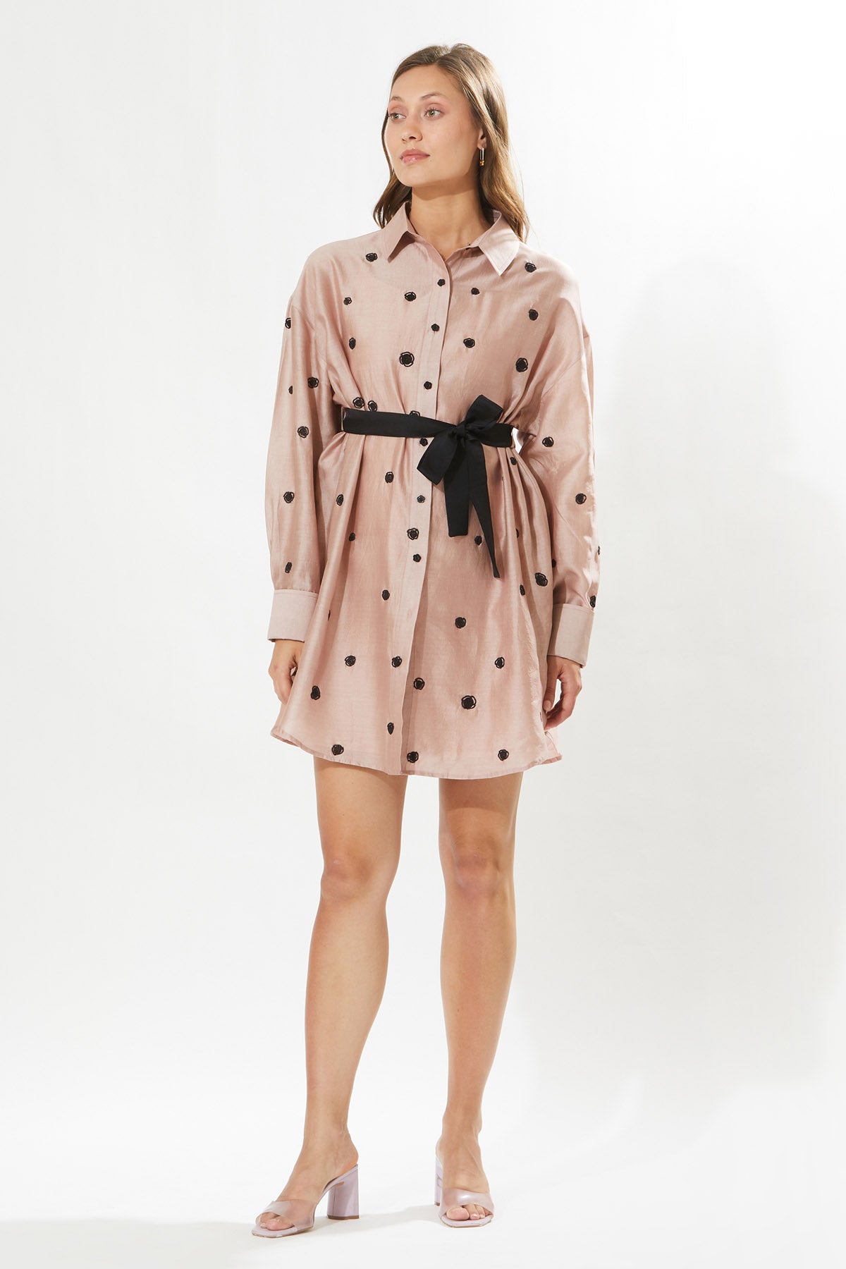 Rosa Embroidery Shirt Dress
