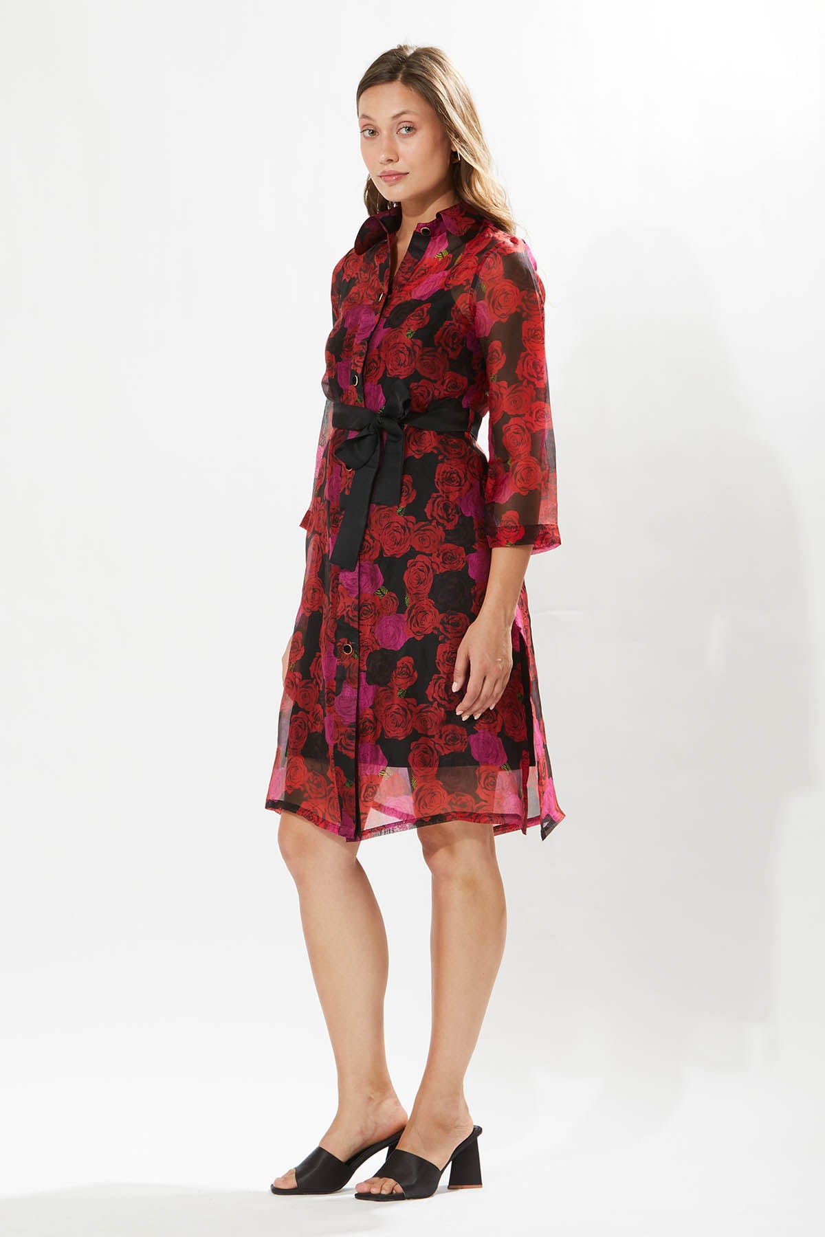Rosa Print Silk Organza Dress