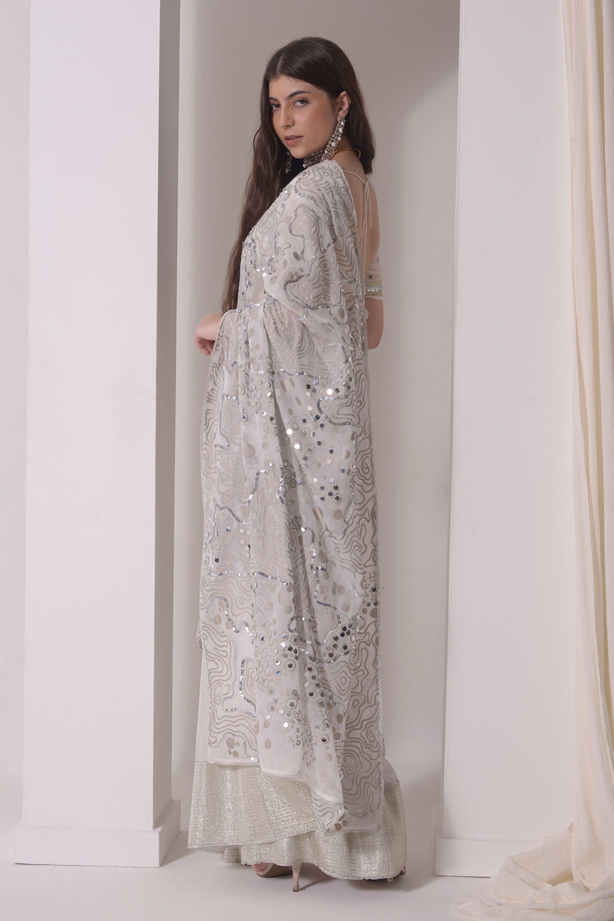 Sequins Embroidered Foil Twinkling Saree