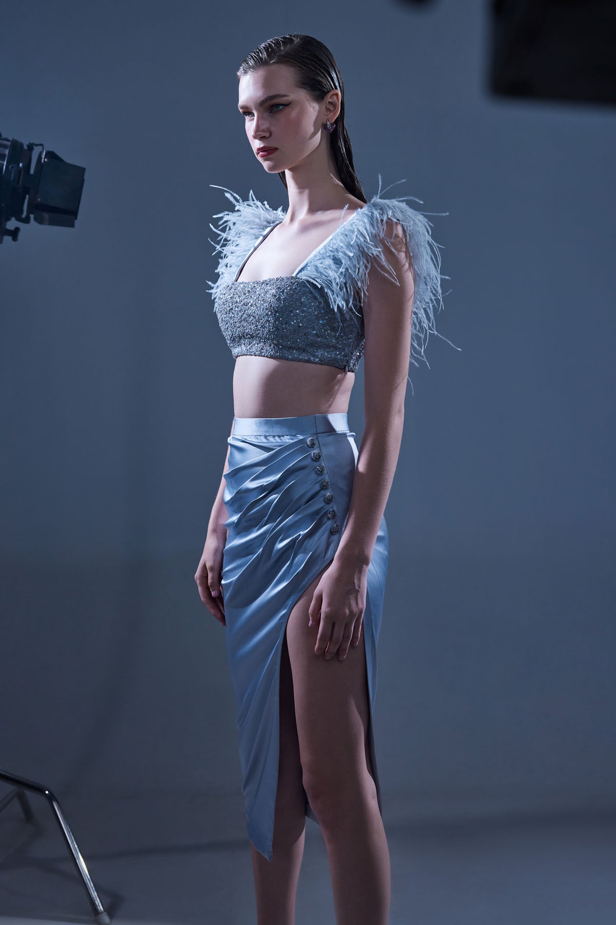 Silver Feather Detailed Top & Skirt Set