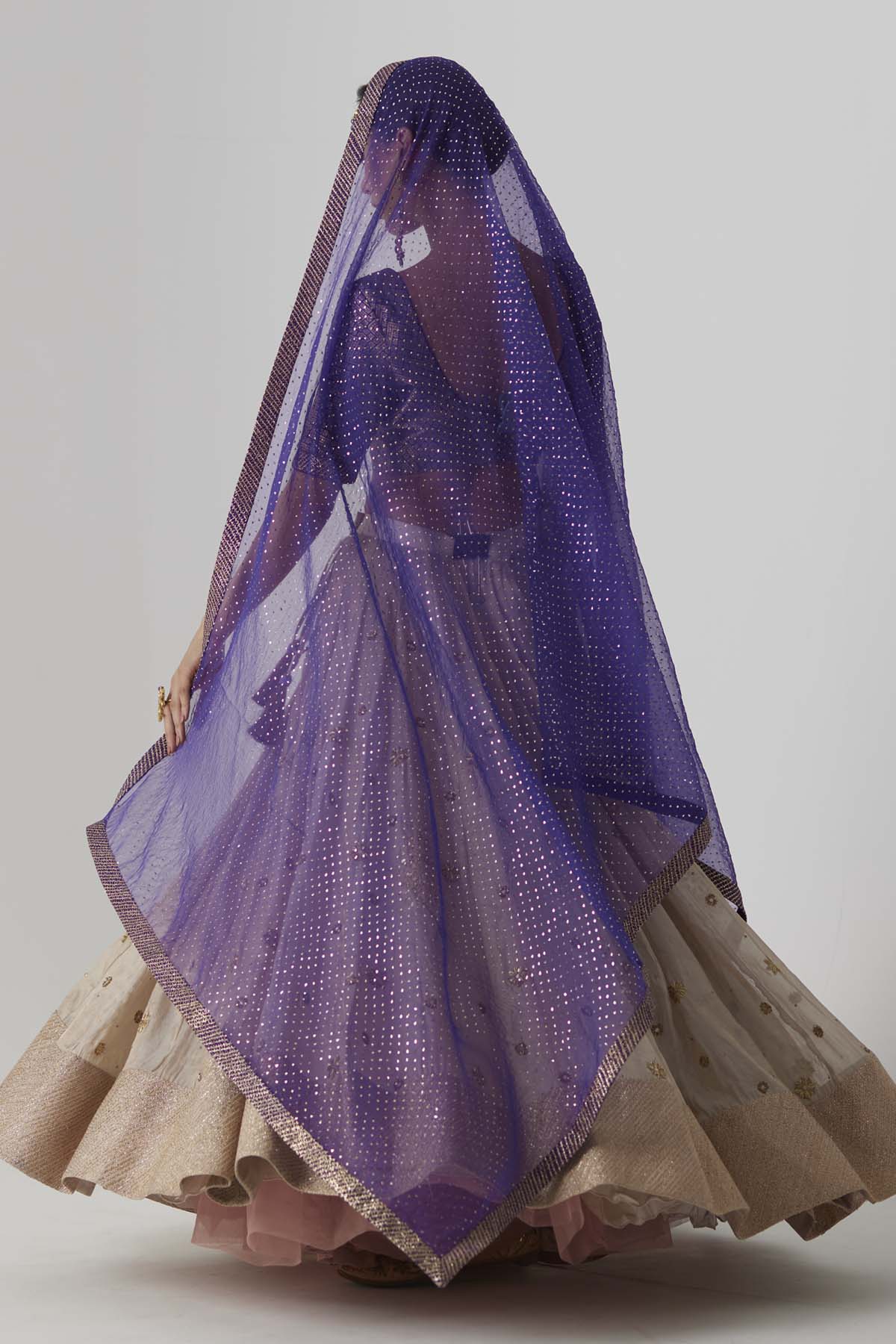 Silver Gold Embroidered Lehenga Set