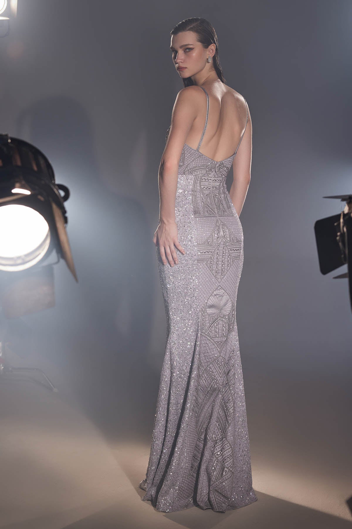 Silver Sequins Low Cut Gown