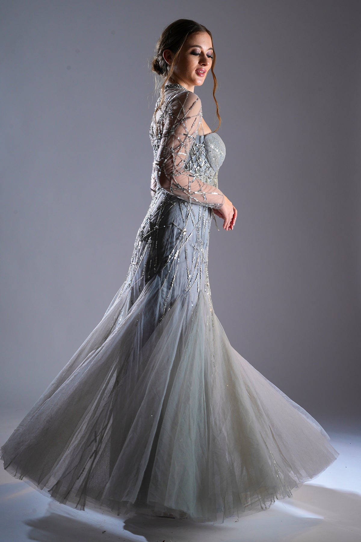 Silver Tulle Embellished Gown