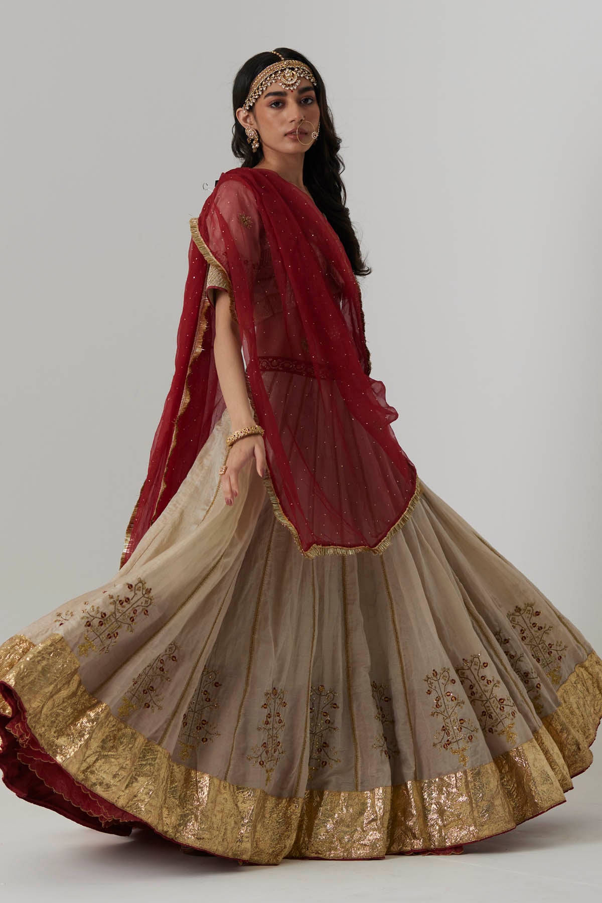 Soft Gold Embroidered Lehenga Set