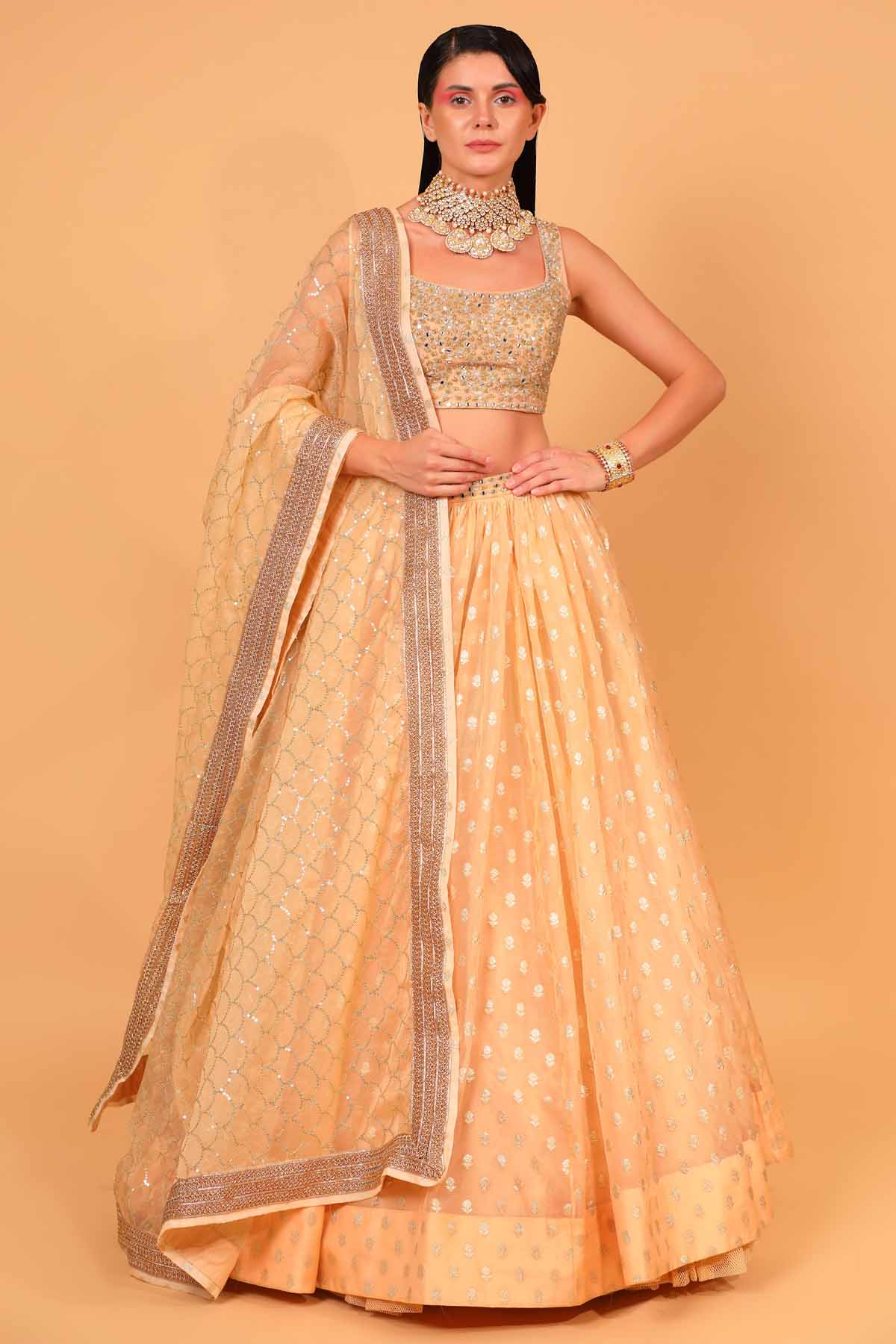 Designer Neha Khullar Peach Organza Embroidered Lehenga Set for Women Online